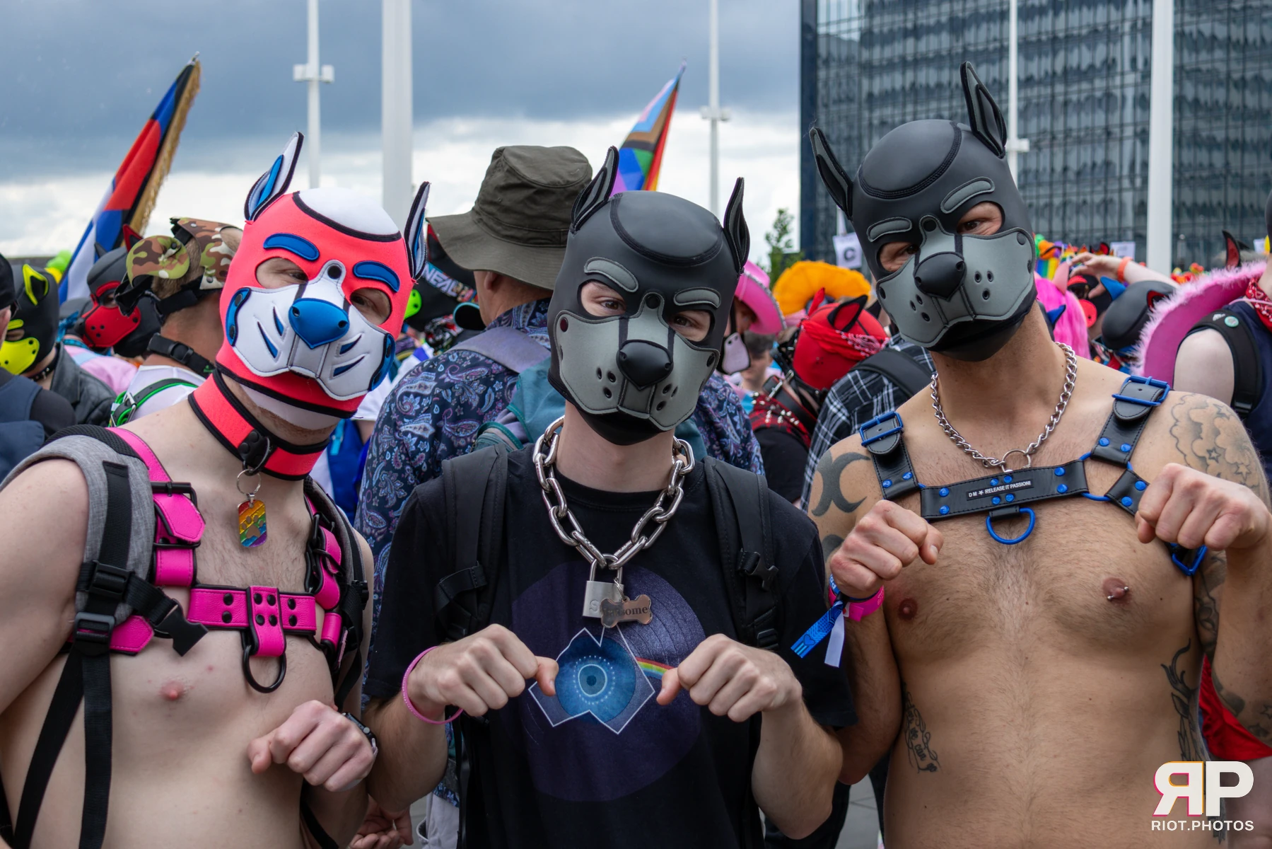 Pup Nathan — furry & pup photography by Fluffy Riot — photo 212
