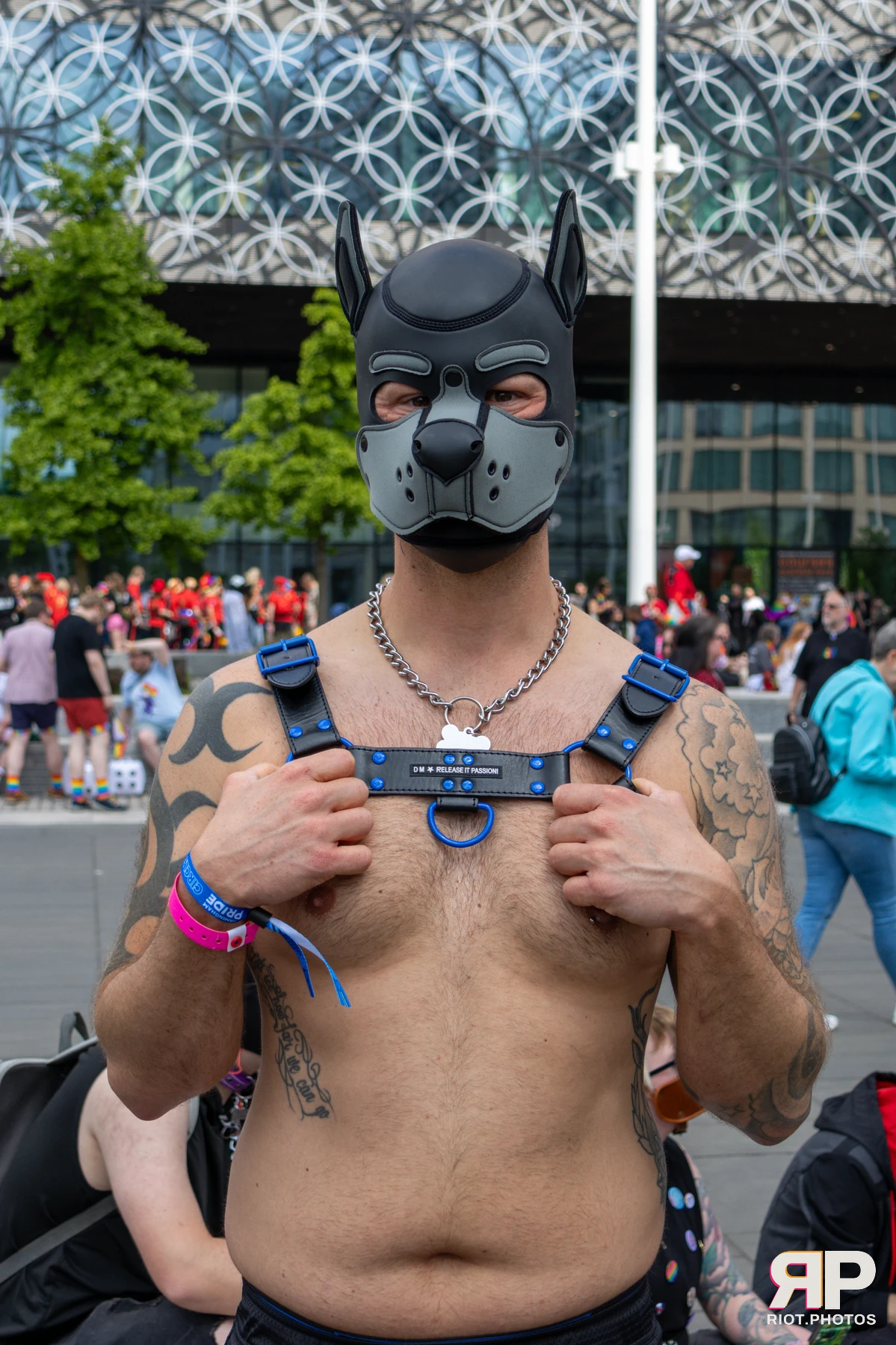 Pup Nathan — furry & pup photography by Fluffy Riot — photo 214