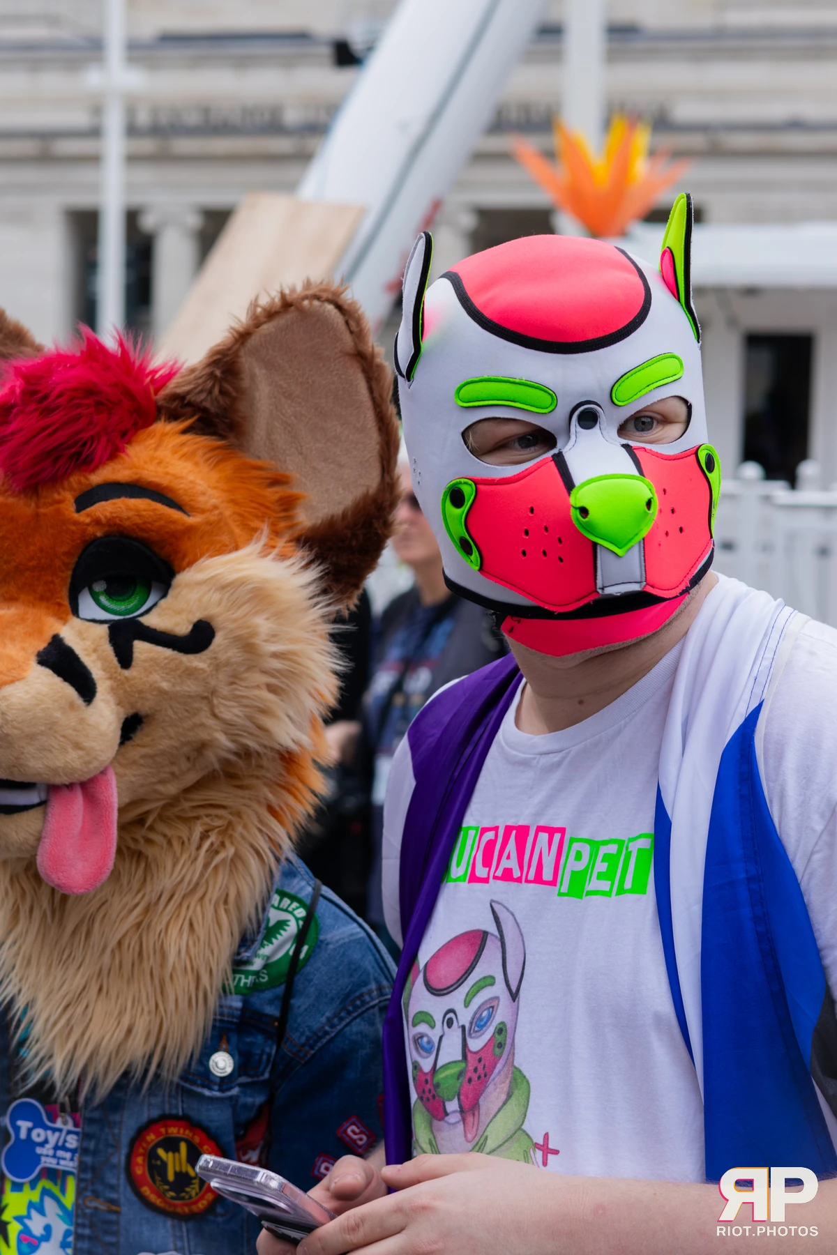 Trix With A Twix (aka T.W.A.T) — furry & pup photography by Fluffy Riot — photo 8