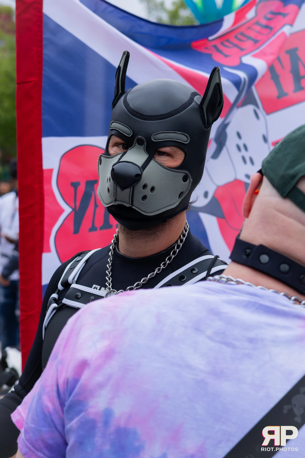 Pup Nathan — furry & pup photography by Fluffy Riot — photo 175