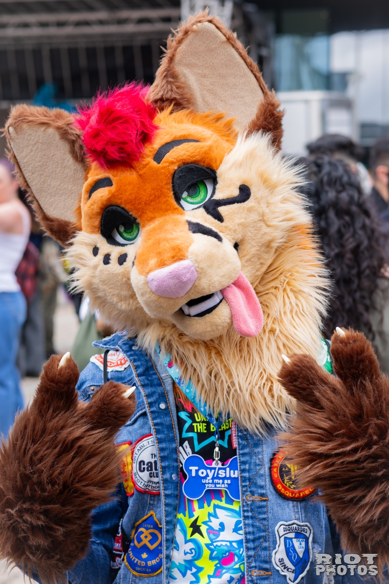 2025-05-24 BirmPride-202505-016.jpg
