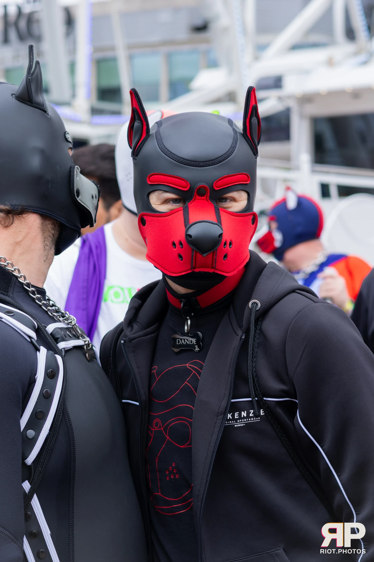 Pup Dande — furry & pup photography by Fluffy Riot — photo 84