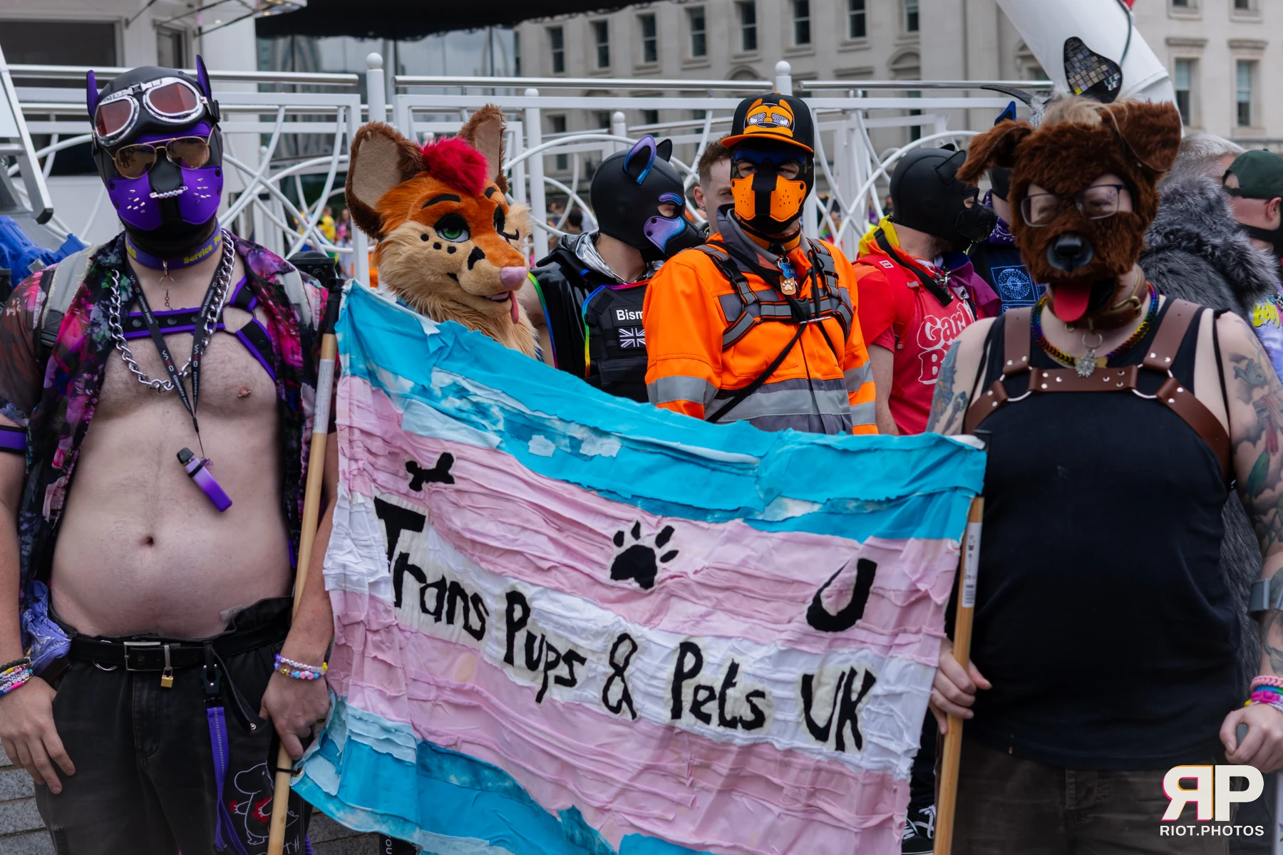 Atlas — furry & pup photography by Fluffy Riot — photo 54