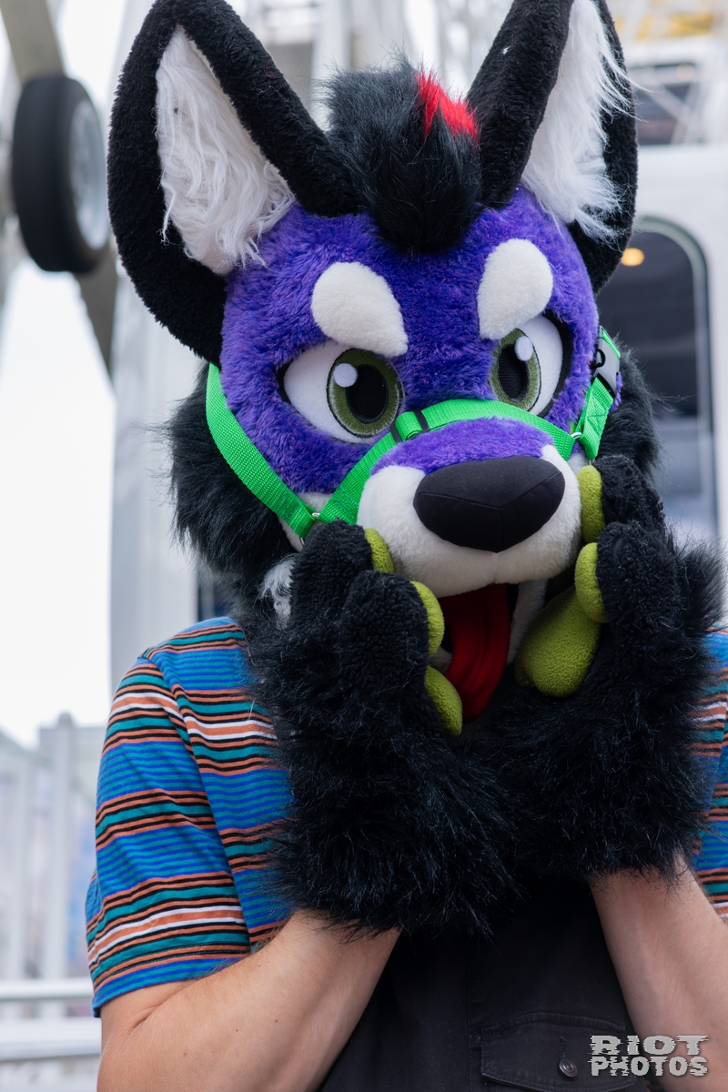 2025-05-24 BirmPride-202505-027.jpg