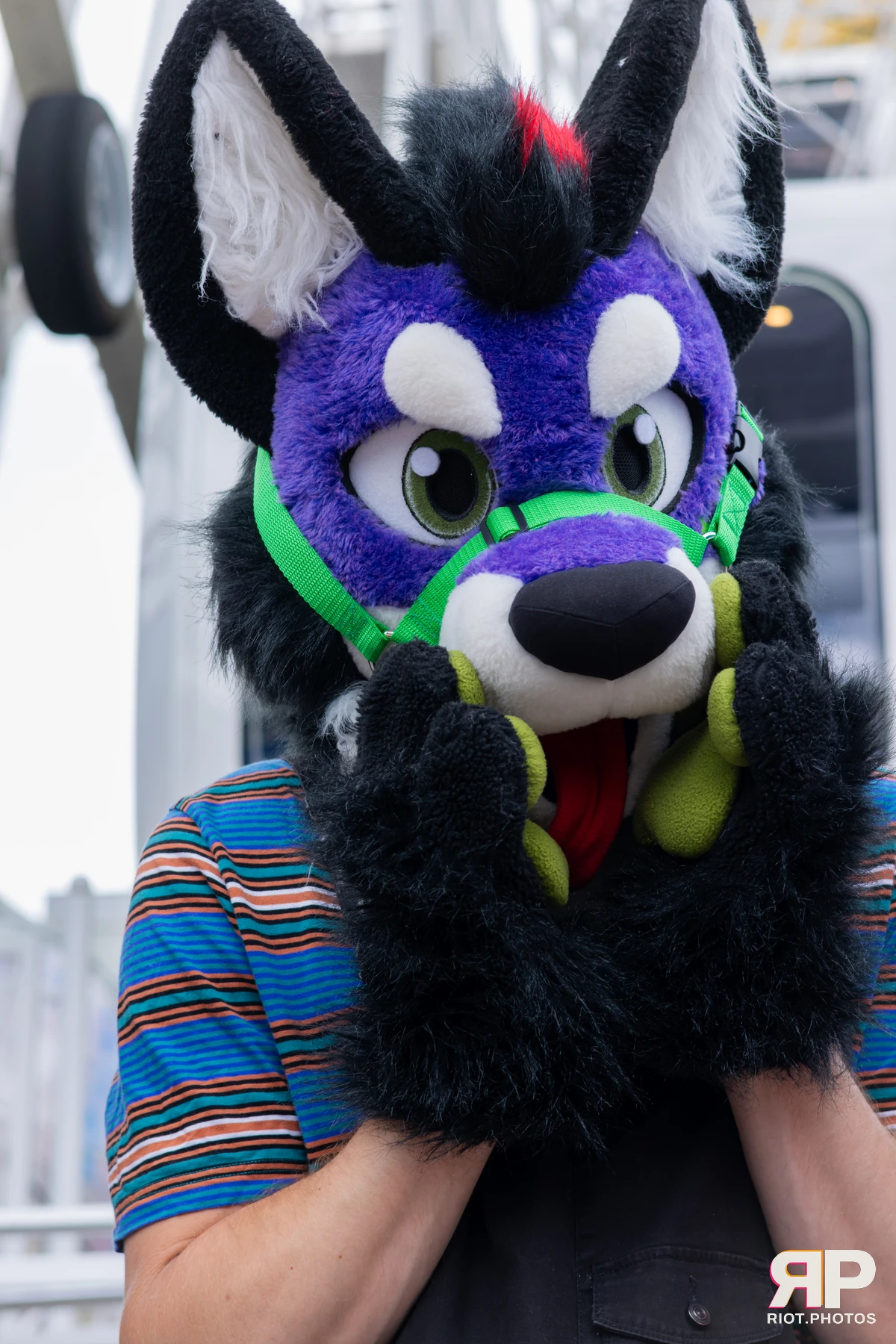 Pup Peanuts — furry & pup photography by Fluffy Riot — photo 32