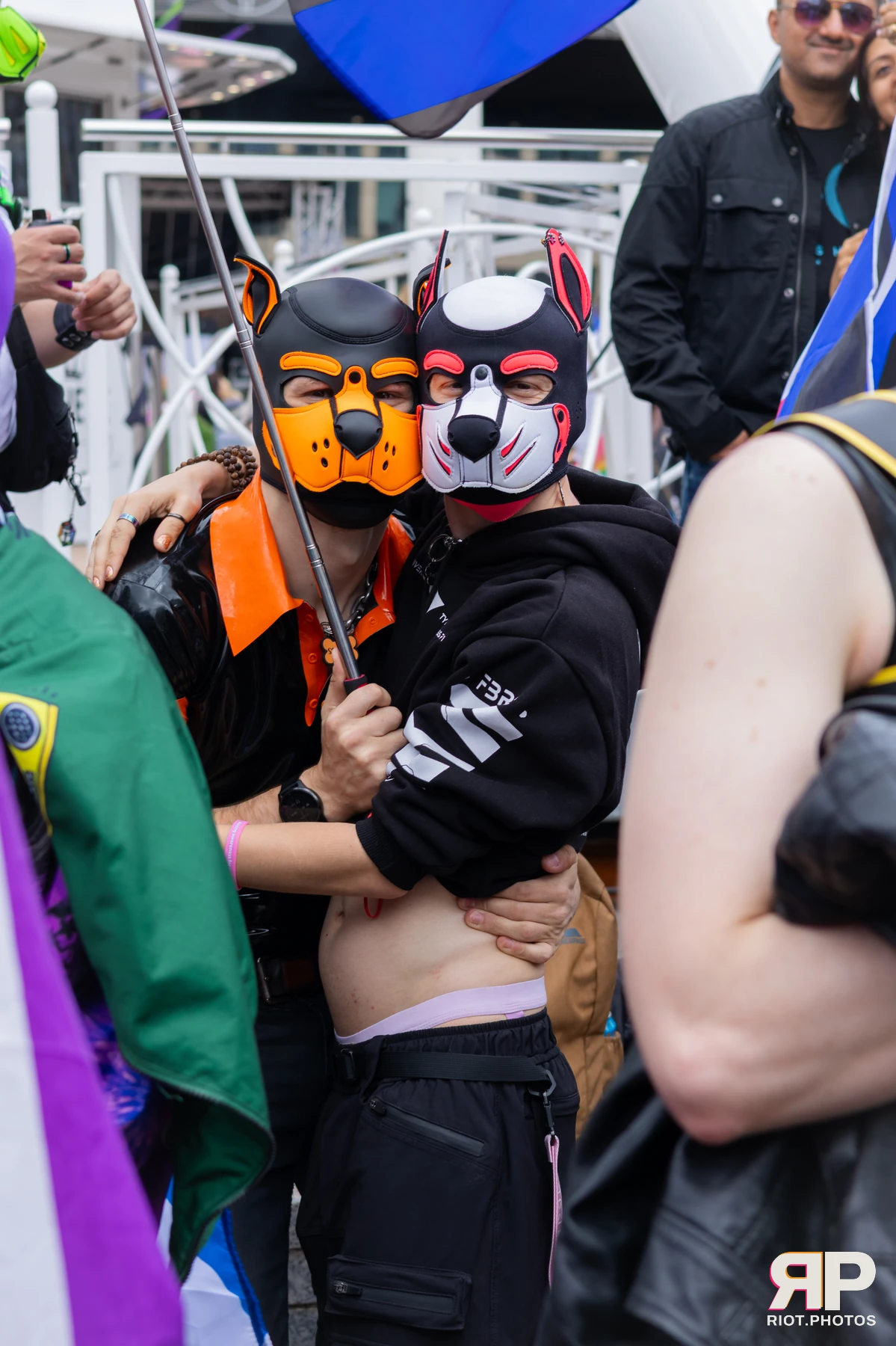 Pup TayTay — furry & pup photography by Fluffy Riot — photo 65