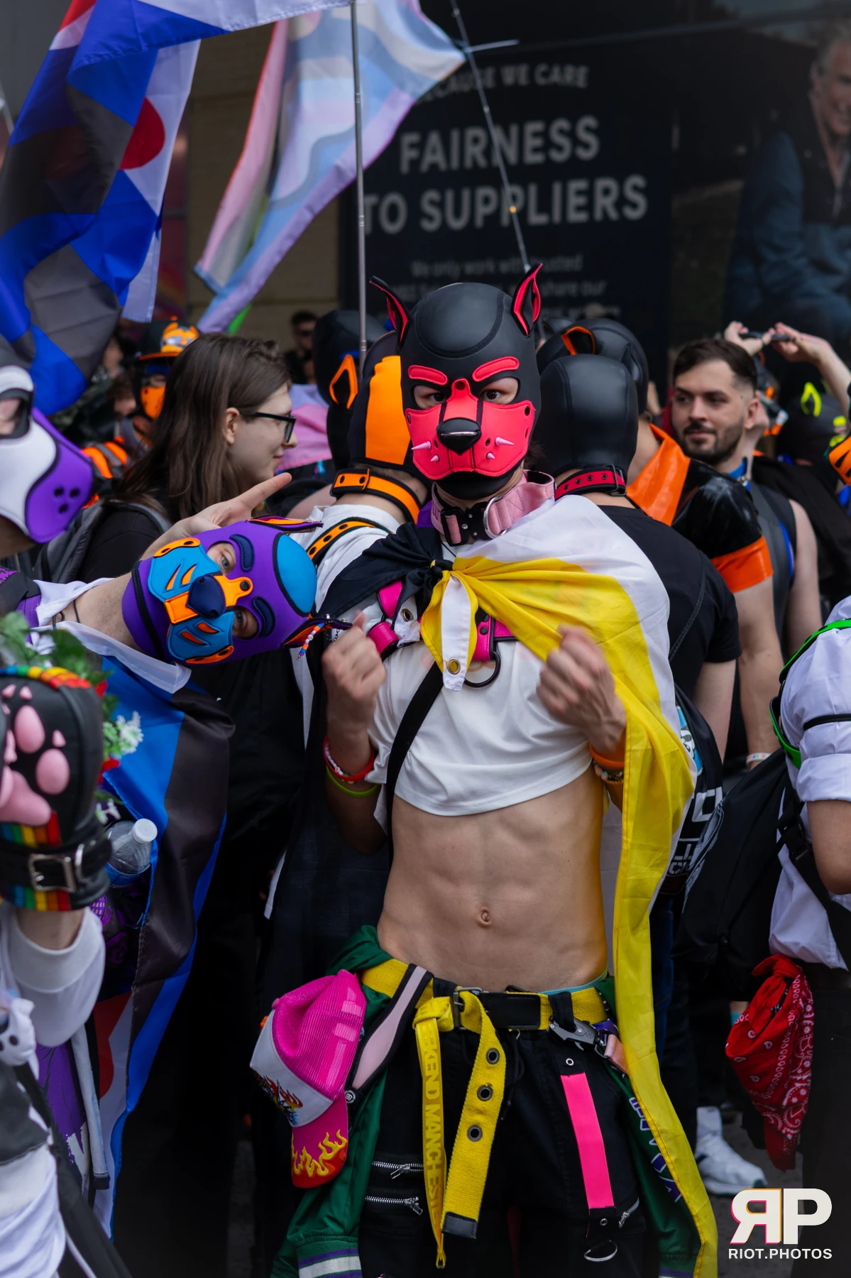 Puppy Pluto — furry & pup photography by Fluffy Riot — photo 43