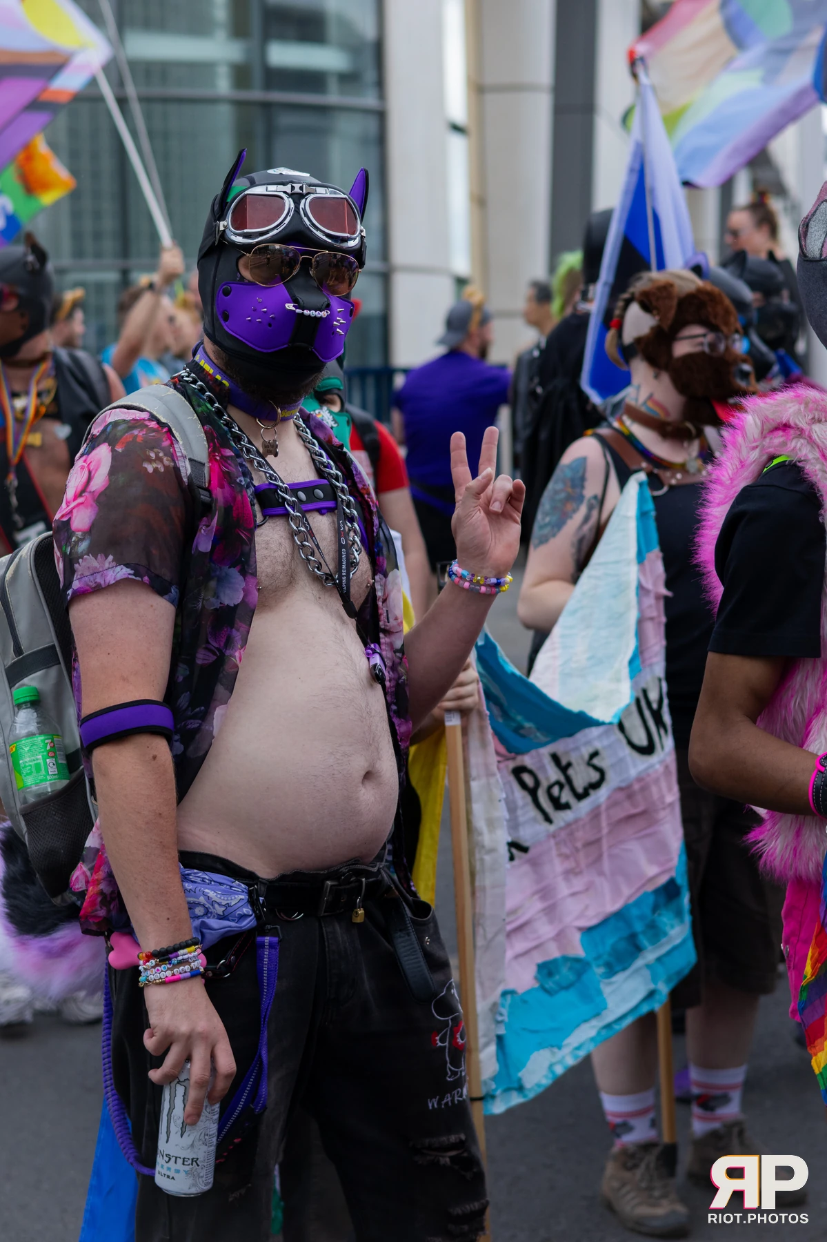 Atlas — furry & pup photography by Fluffy Riot — photo 56