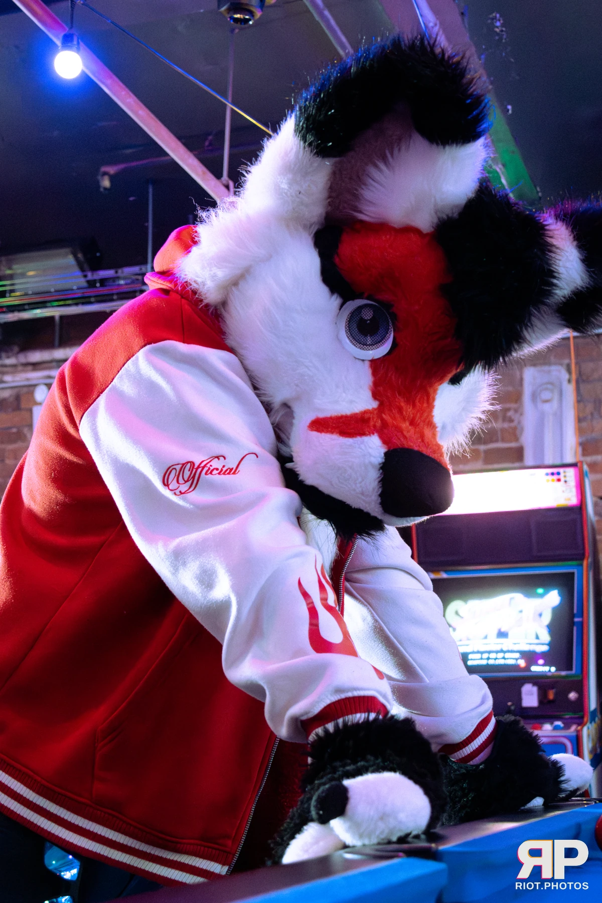 Borkday! 2026 — 21 Mar 2026, Fluffy Riot photography — photo 3