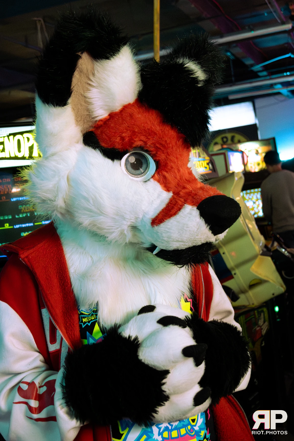Borkday! 2026 — 21 Mar 2026, Fluffy Riot photography — photo 6