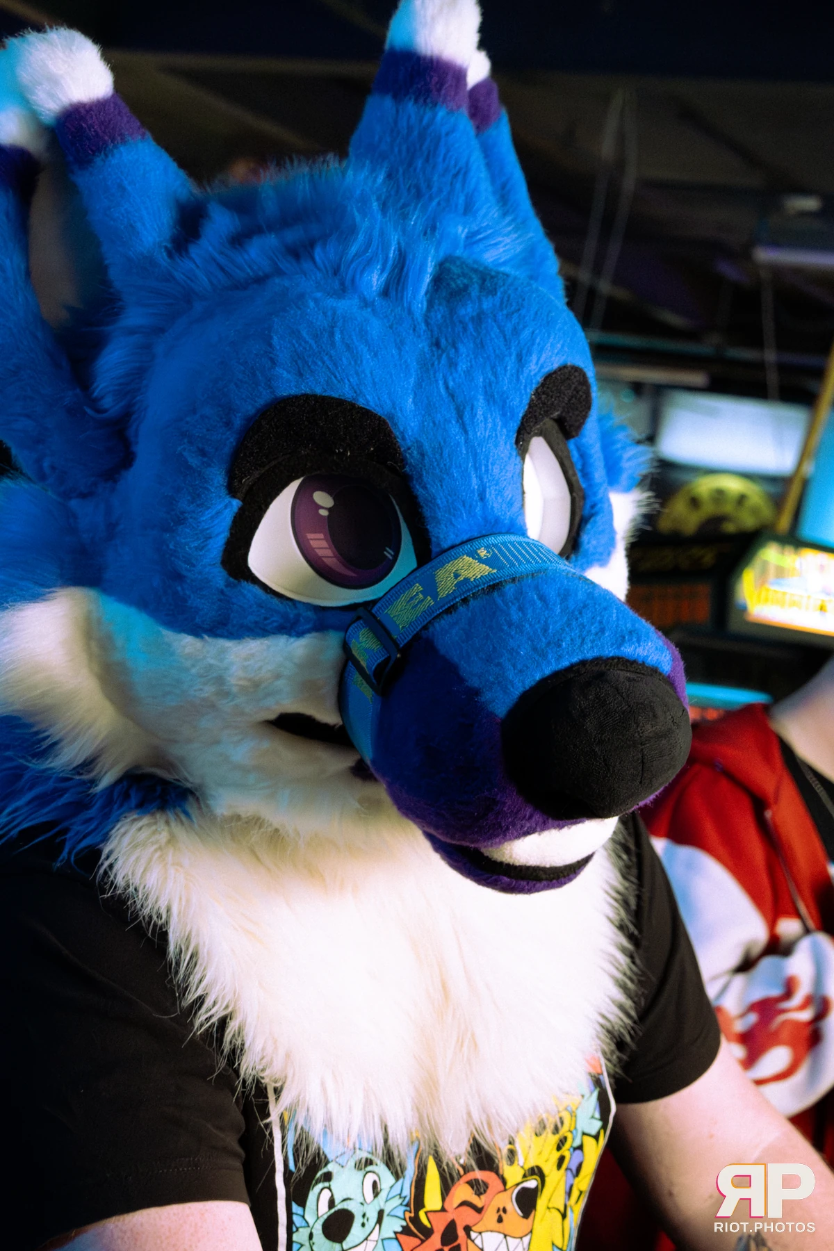 Borkday! 2026 — 21 Mar 2026, Fluffy Riot photography — photo 7