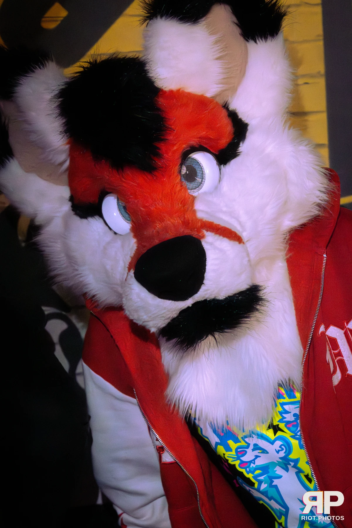 Borkday! 2026 — 21 Mar 2026, Fluffy Riot photography — photo 9