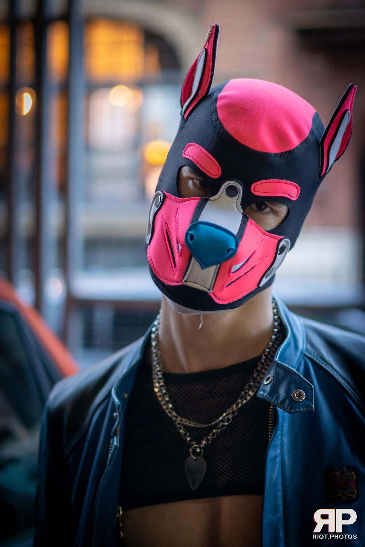 Club Collared MCR - June, 2025 — 07 Jun 2025, Fluffy Riot photography — photo 3