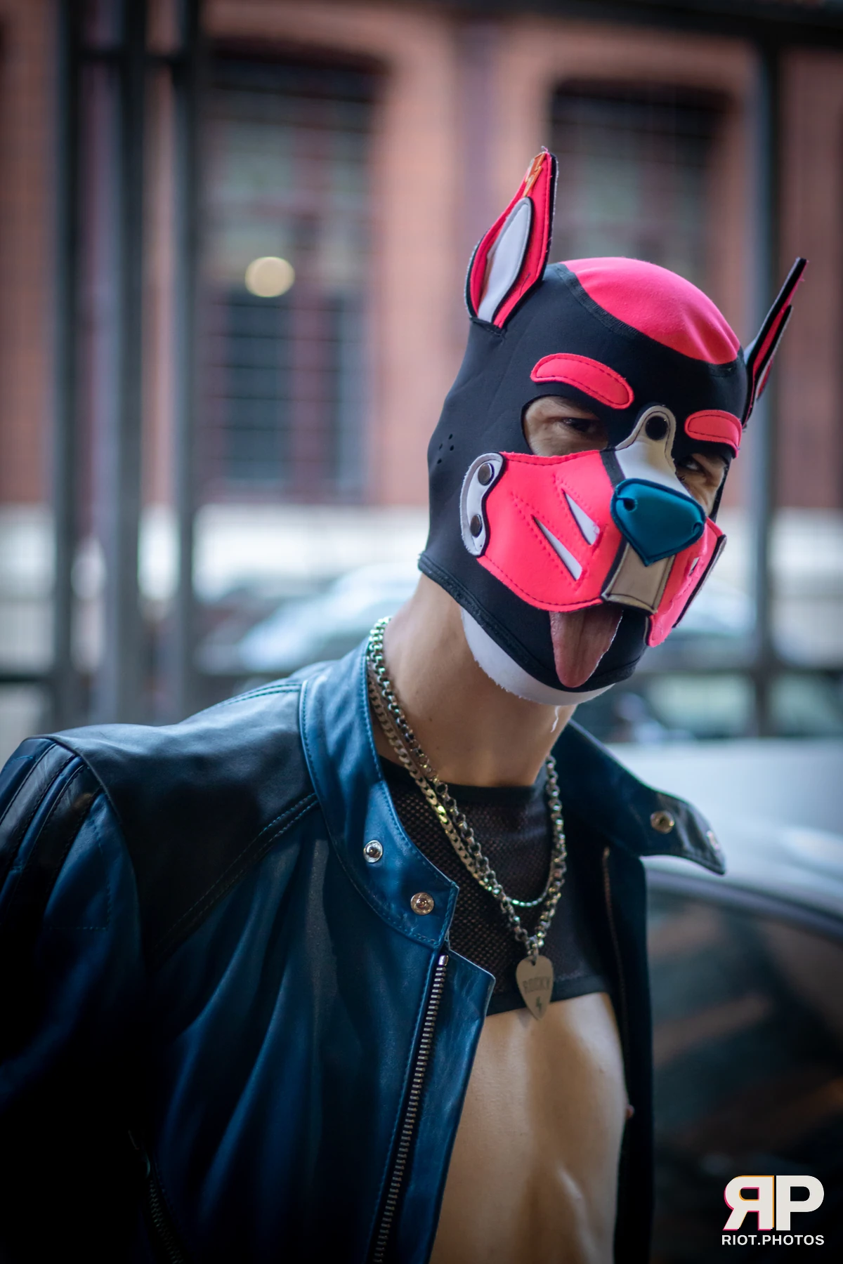 Club Collared MCR - June, 2025 — 07 Jun 2025, Fluffy Riot photography — photo 6