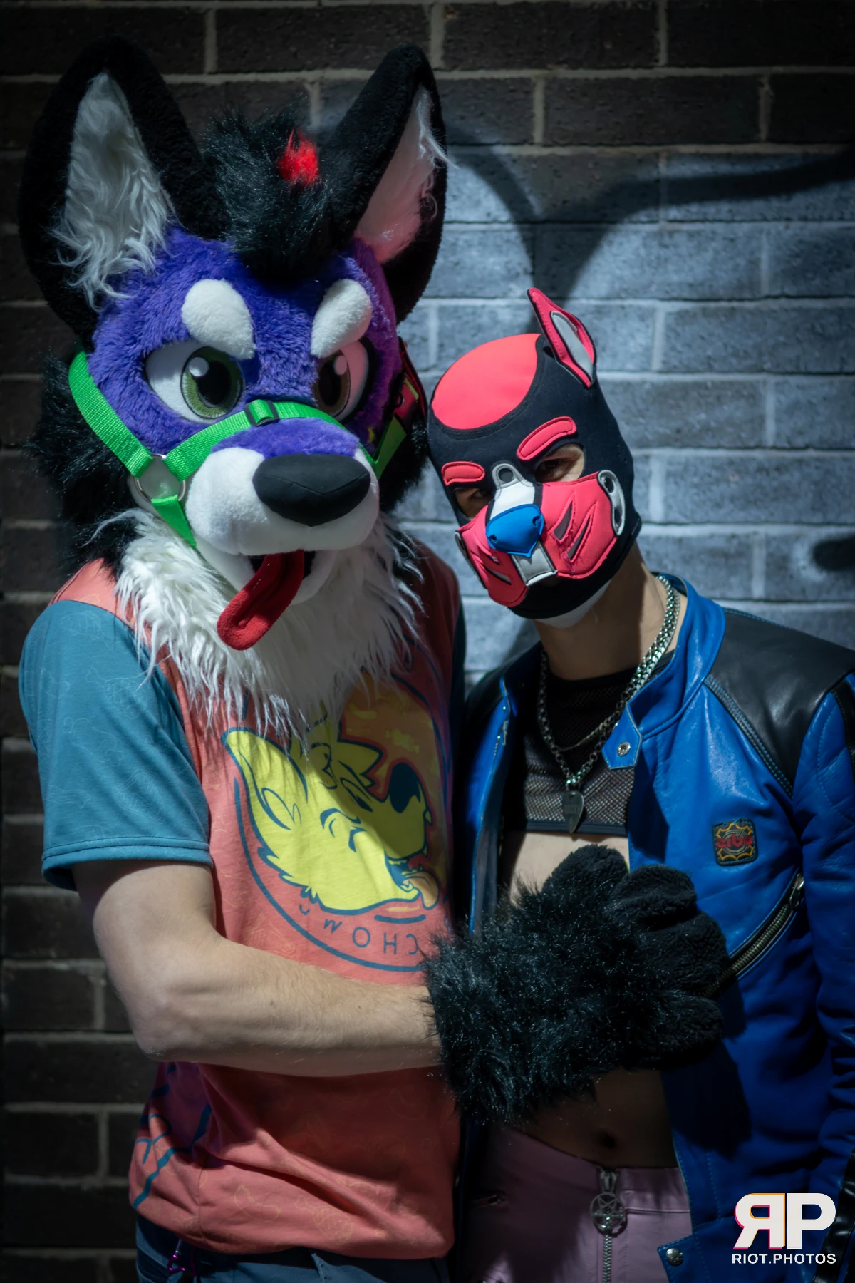 Pup Peanuts — furry & pup photography by Fluffy Riot — photo 24