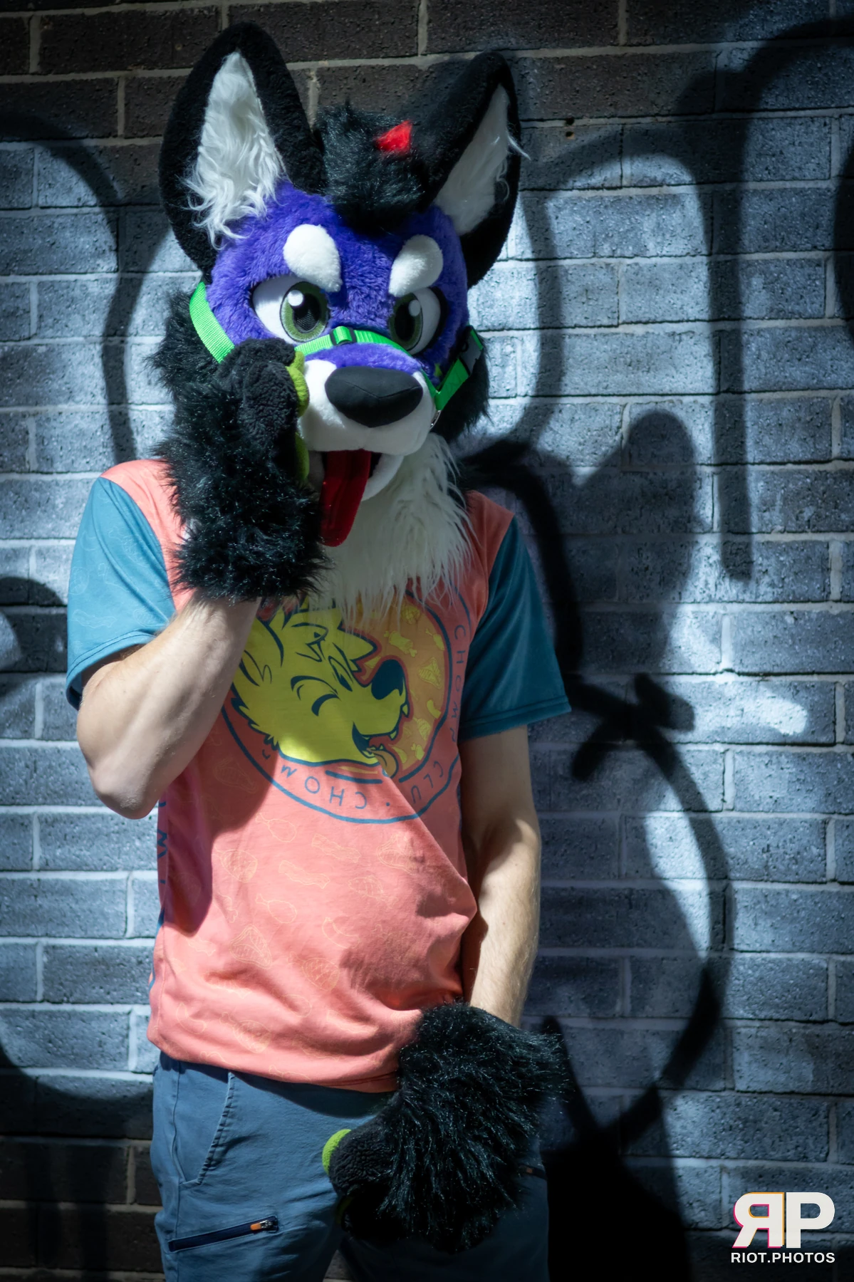 Pup Peanuts — furry & pup photography by Fluffy Riot — photo 26