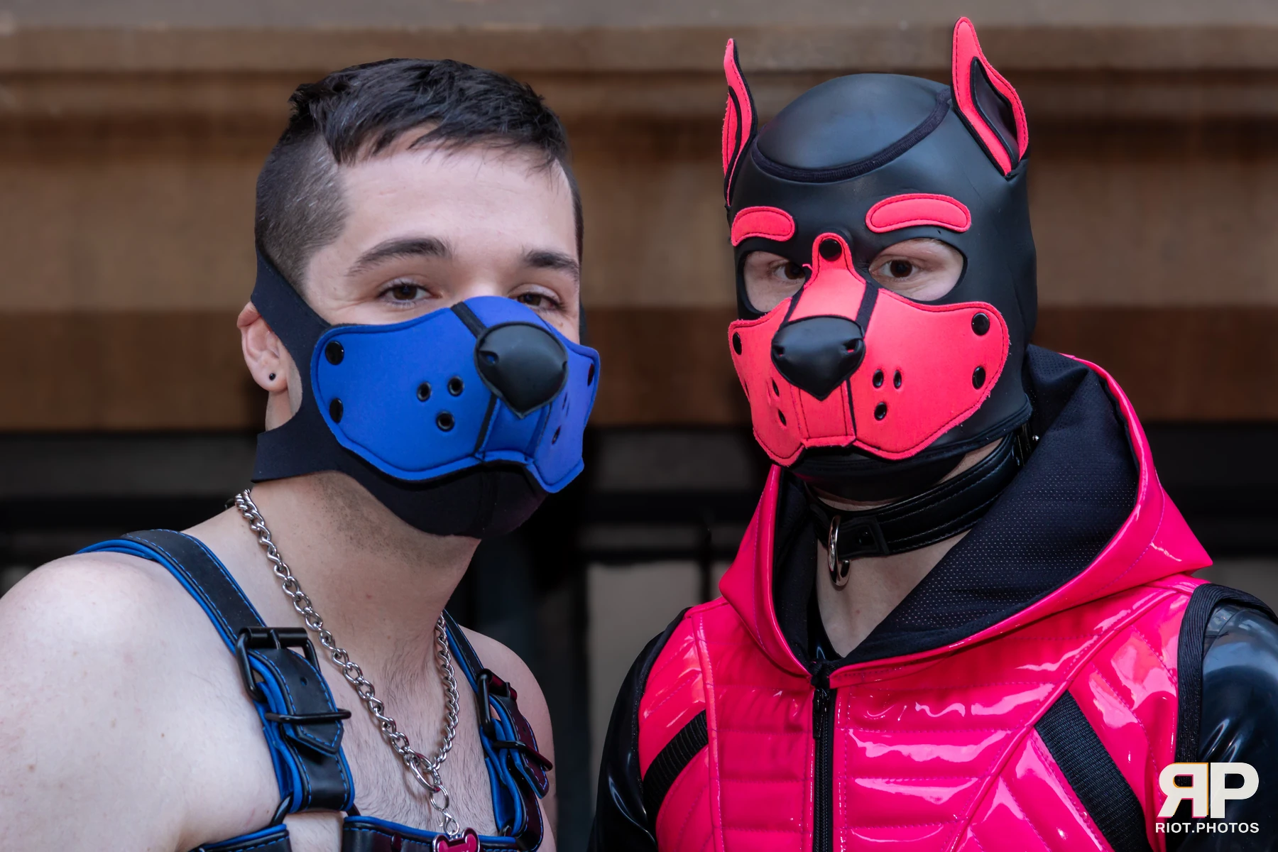 Pup Kaz — furry & pup photography by Fluffy Riot — photo 608