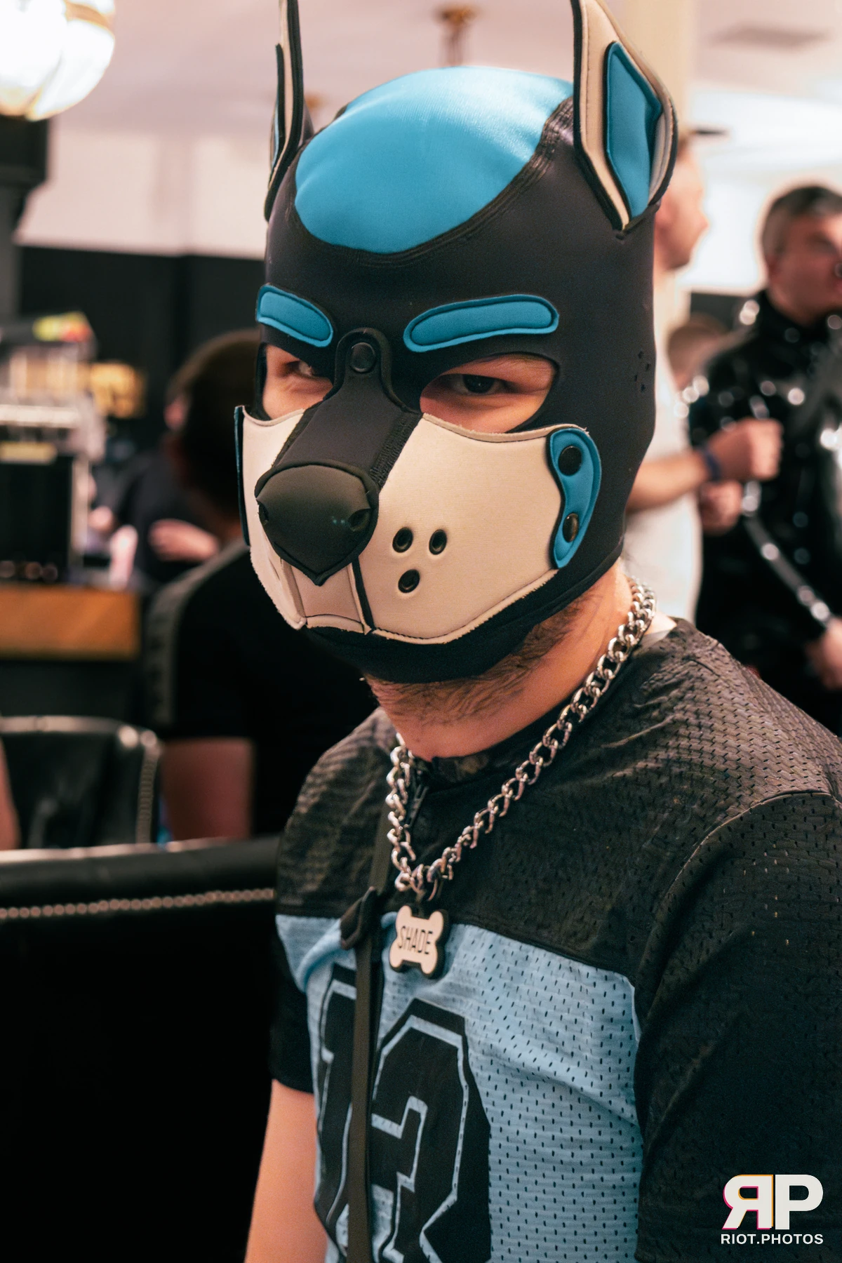Shade — furry & pup photography by Fluffy Riot — photo 21