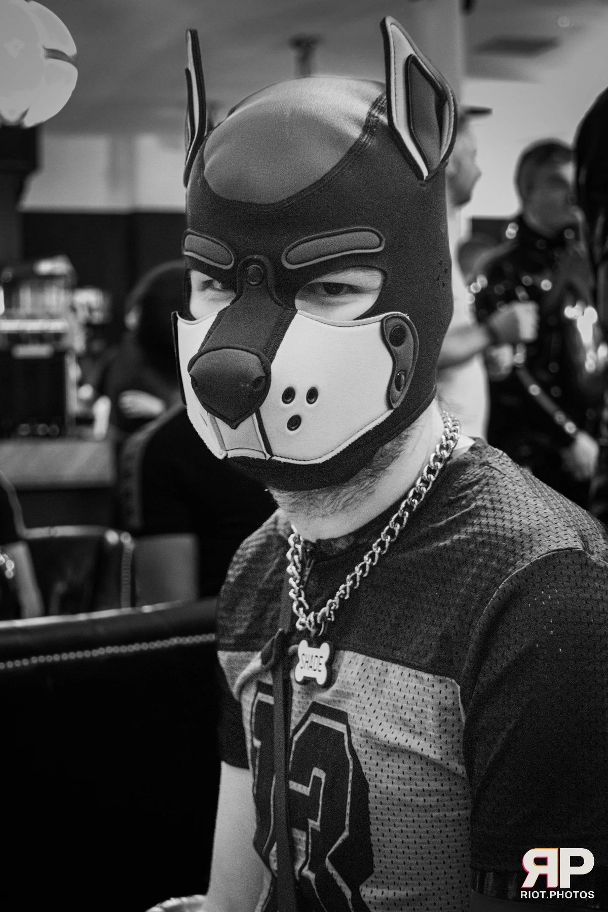 Shade — furry & pup photography by Fluffy Riot — photo 23
