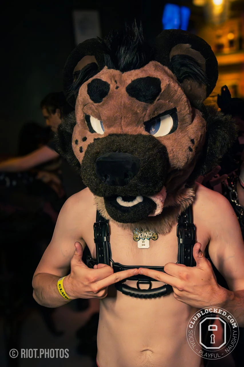 King Yeena — furry & pup photography by Fluffy Riot — photo 7