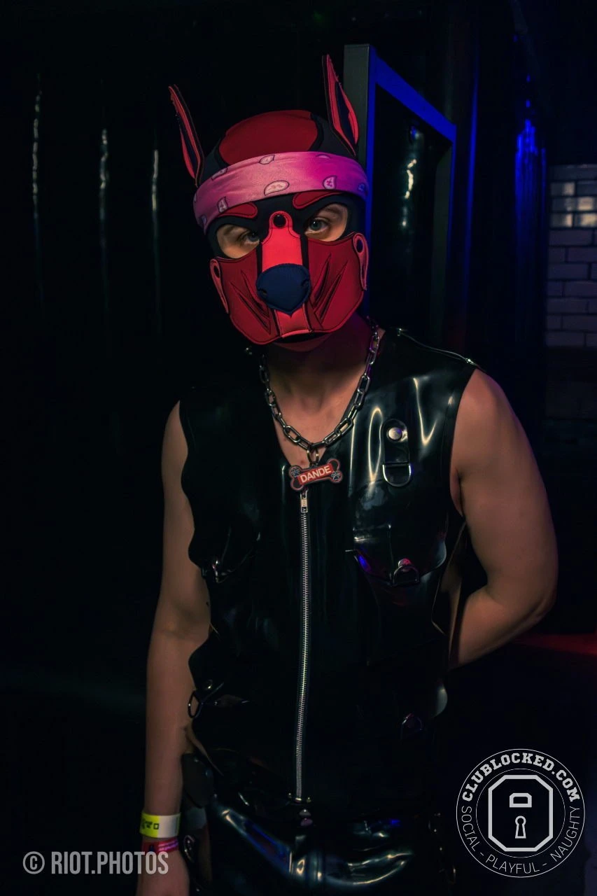 Pup Dande — furry & pup photography by Fluffy Riot — photo 13