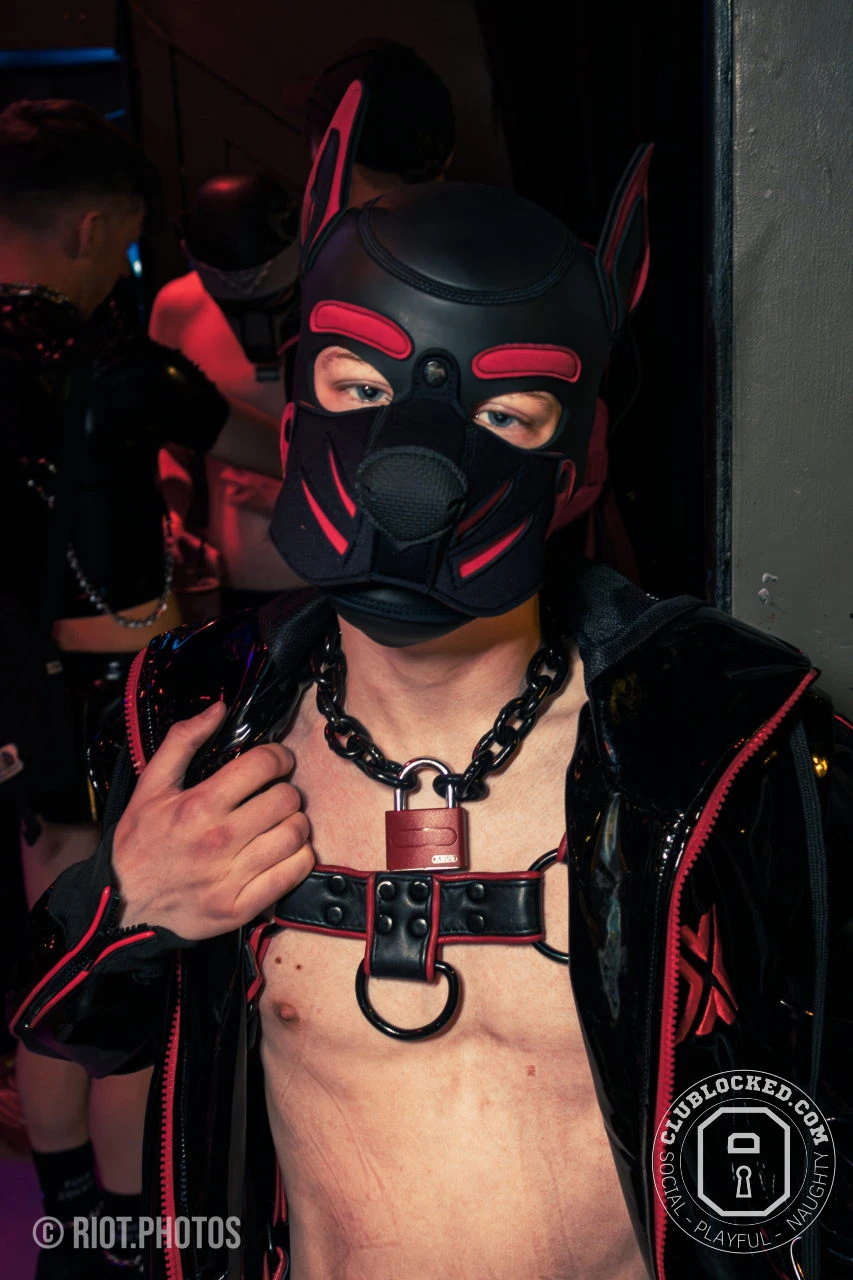 Hagen Hyena — furry & pup photography by Fluffy Riot — photo 2