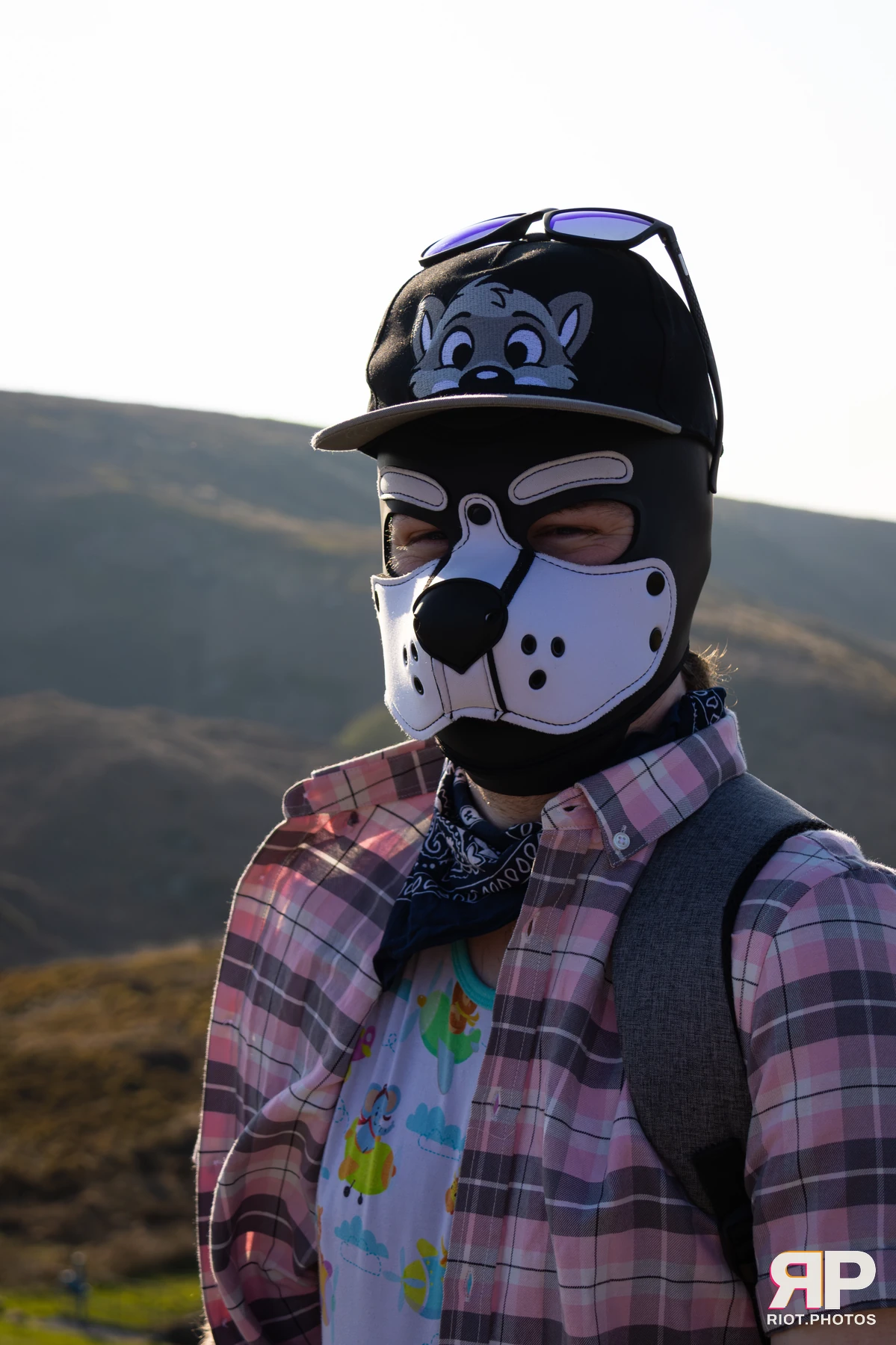 Adamski Fox — furry & pup photography by Fluffy Riot — photo 23