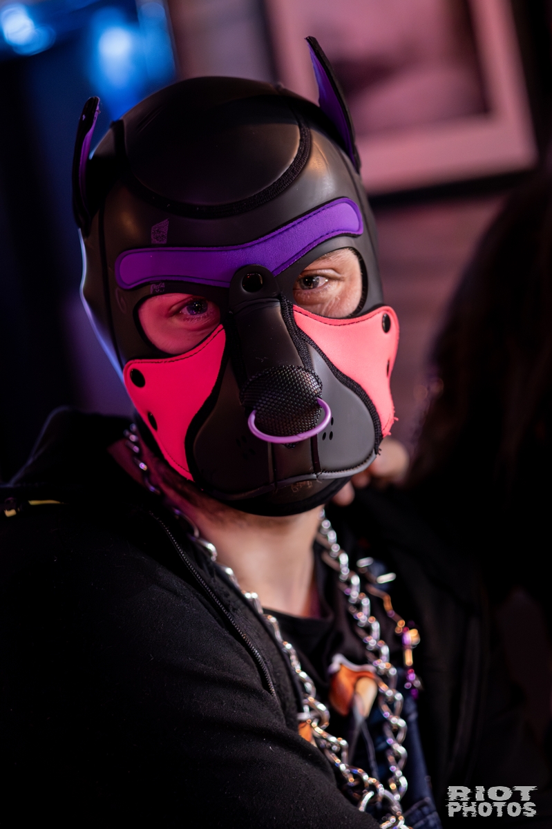 2025-10-15 DoggyWeekend-202510-003.jpg