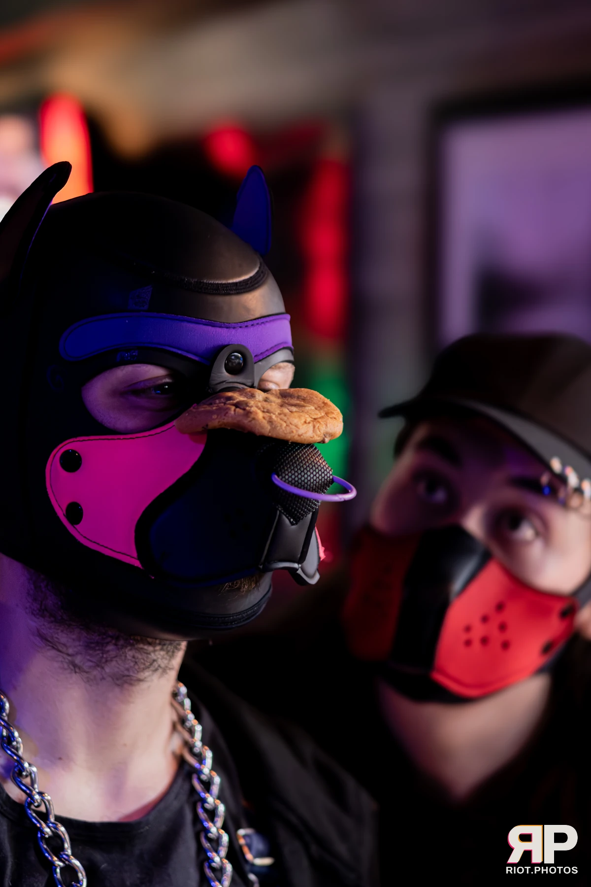 Atlas — furry & pup photography by Fluffy Riot — photo 40