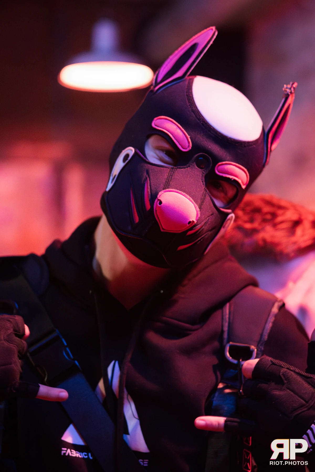 Pup TayTay — furry & pup photography by Fluffy Riot — photo 4