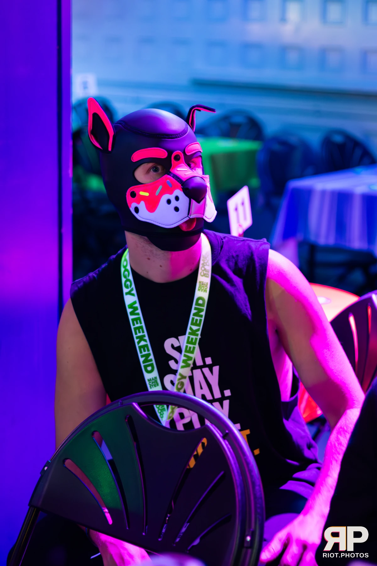 Doggy Weekend 2025 — 15 Oct 2025, Fluffy Riot photography — photo 21