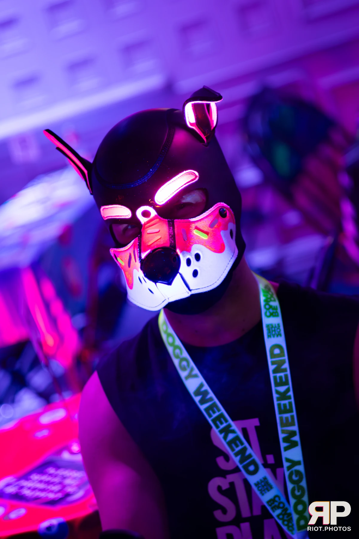 Doggy Weekend 2025 — 15 Oct 2025, Fluffy Riot photography — photo 22