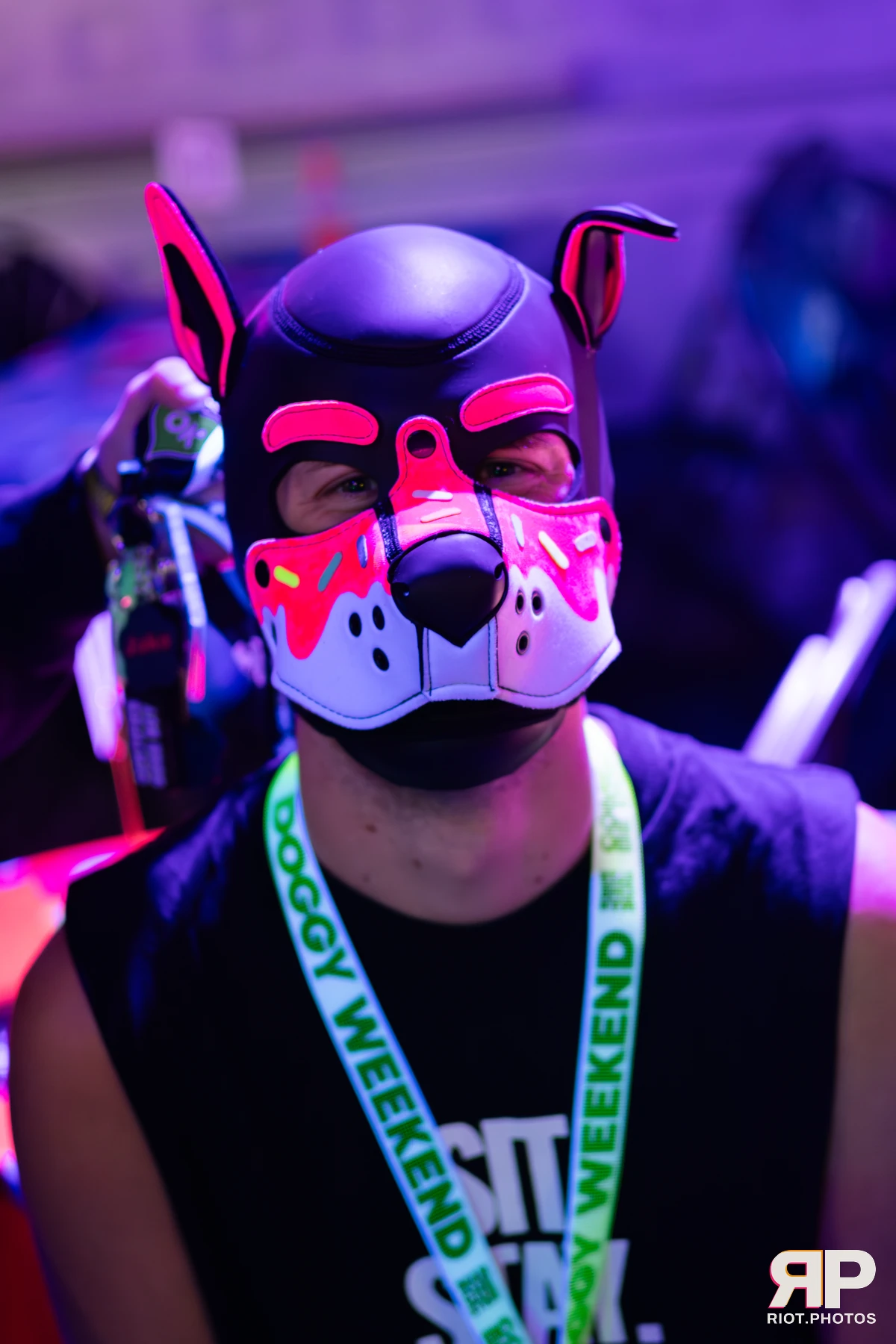 Doggy Weekend 2025 — 15 Oct 2025, Fluffy Riot photography — photo 23
