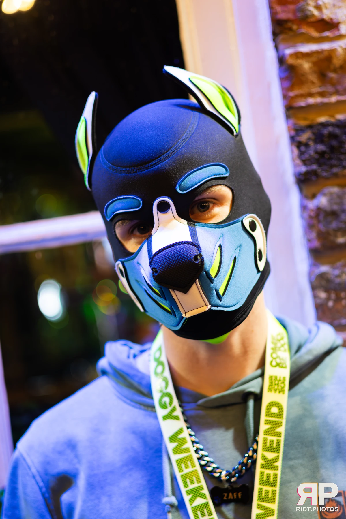Zaff — furry & pup photography by Fluffy Riot — photo 69