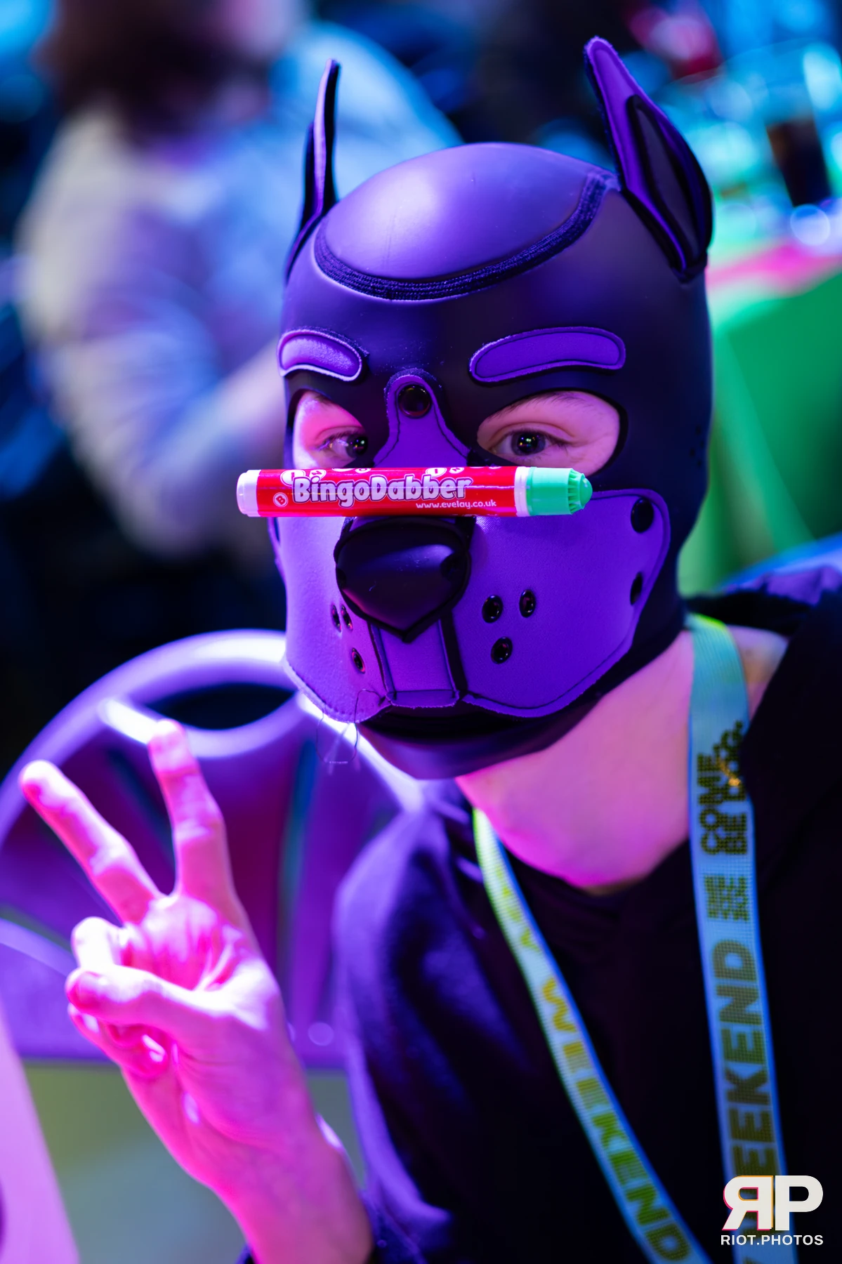 Doggy Weekend 2025 — 15 Oct 2025, Fluffy Riot photography — photo 33
