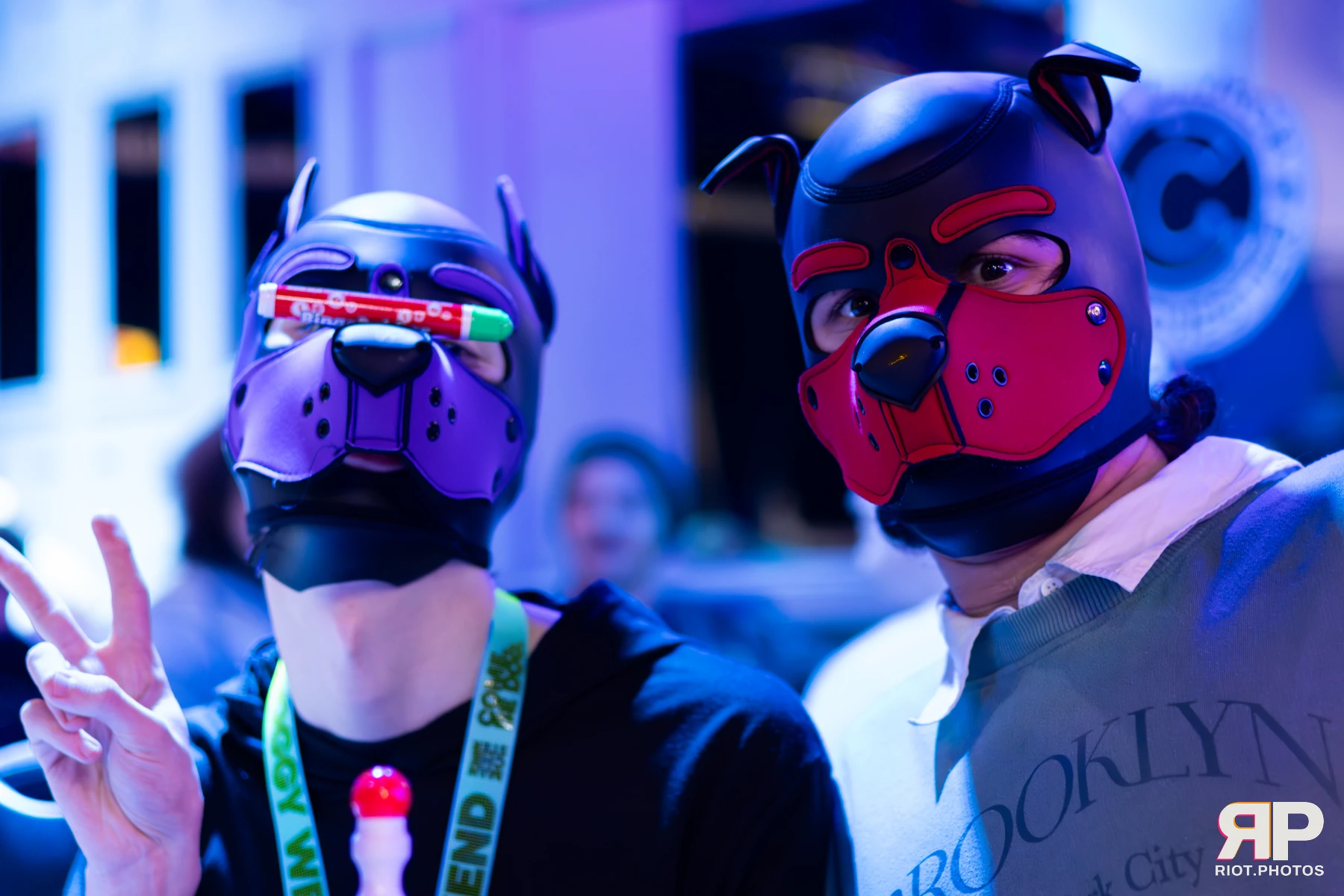 Doggy Weekend 2025 — 15 Oct 2025, Fluffy Riot photography — photo 34
