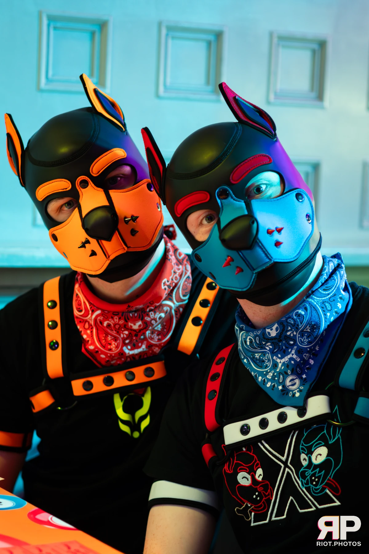 Doggy Weekend 2025 — 15 Oct 2025, Fluffy Riot photography — photo 36