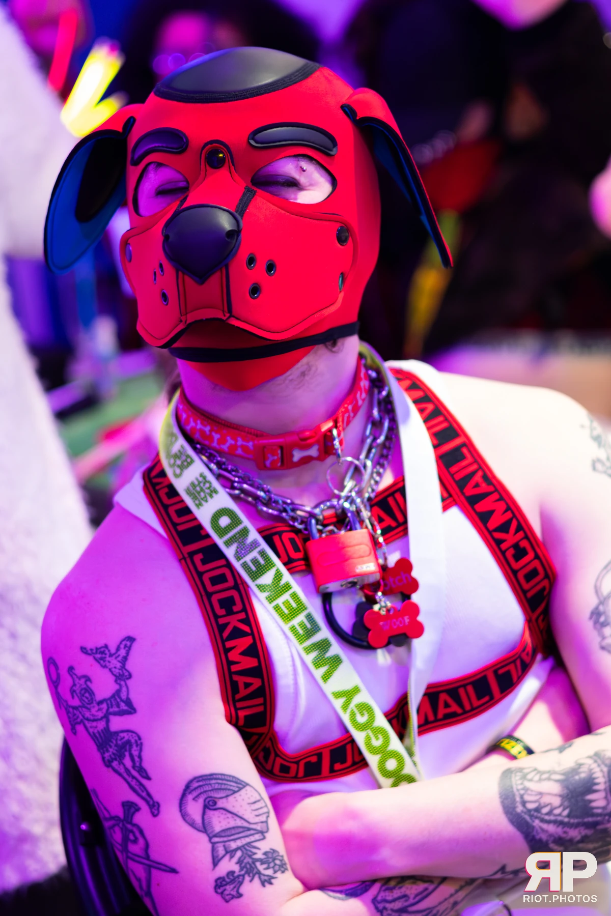 Pup Hotchkiss — furry & pup photography by Fluffy Riot — photo 24