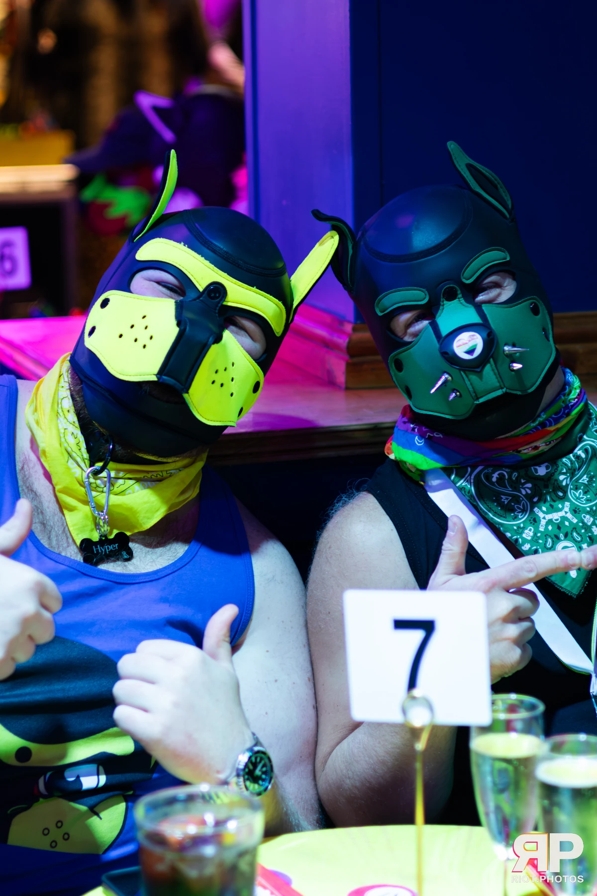 Doggy Weekend 2025 — 15 Oct 2025, Fluffy Riot photography — photo 43