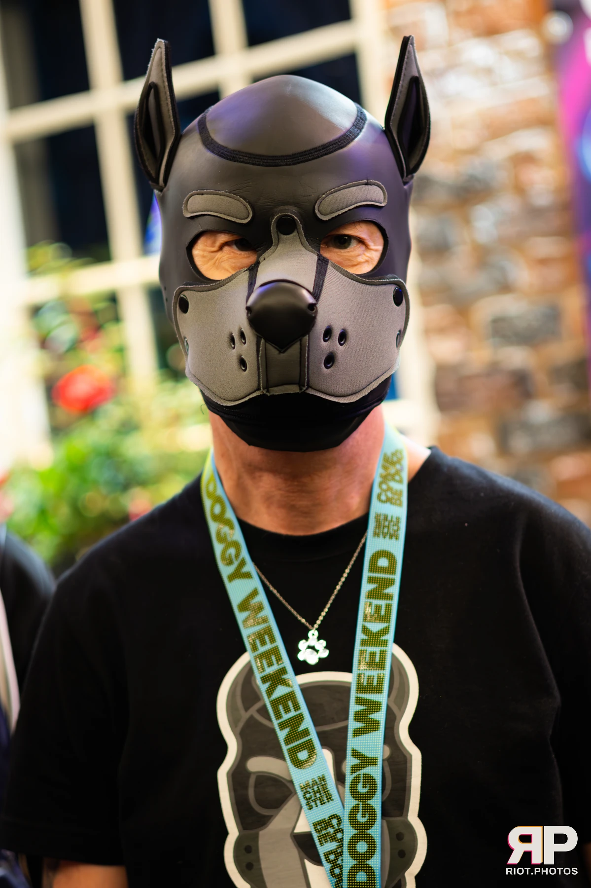 Doggy Weekend 2025 — 15 Oct 2025, Fluffy Riot photography — photo 48