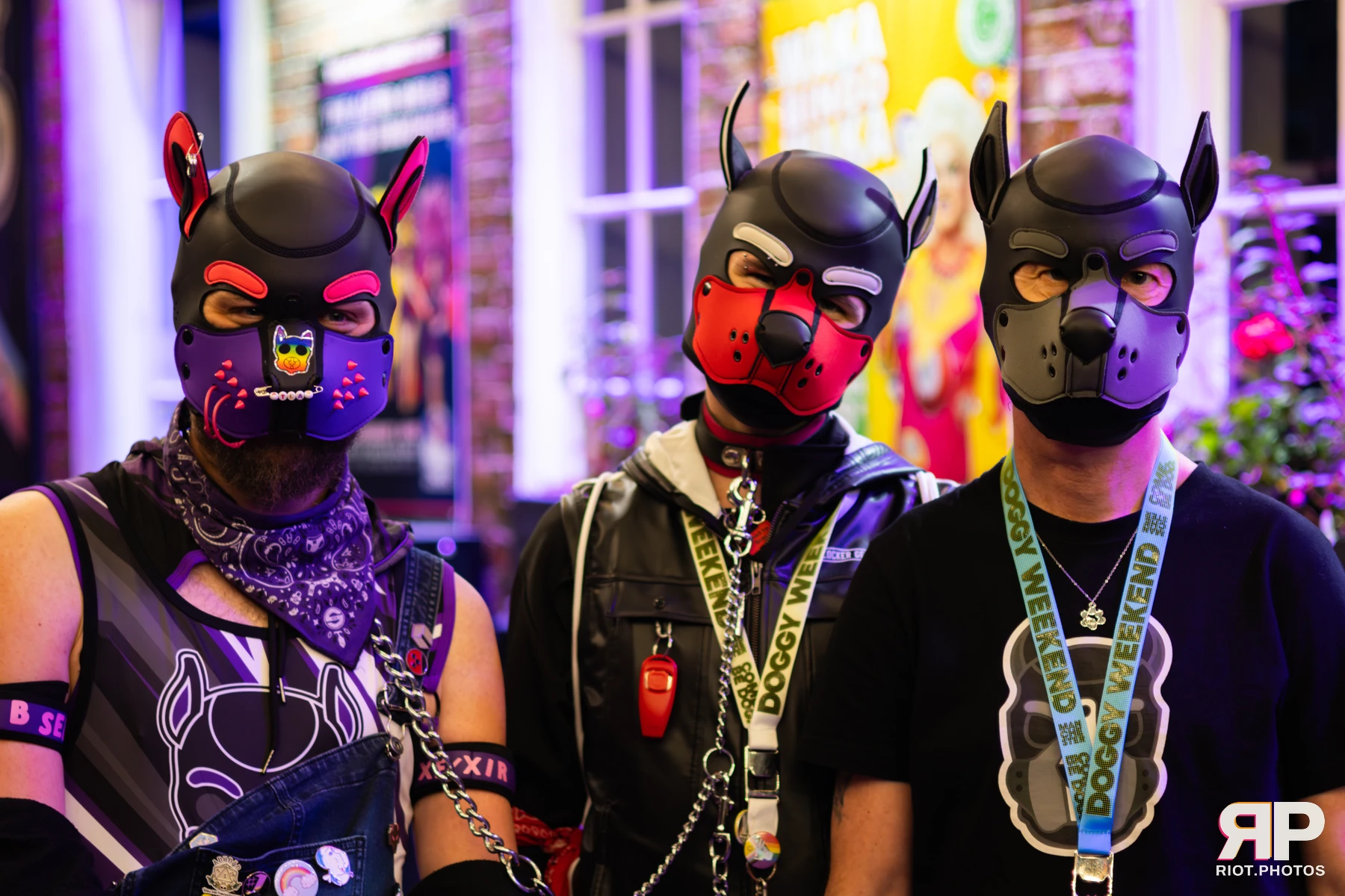 Atlas — furry & pup photography by Fluffy Riot — photo 35