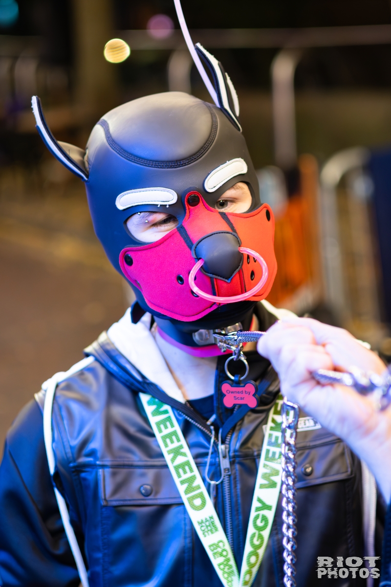 2025-10-16 DoggyWeekend-202510-057.jpg