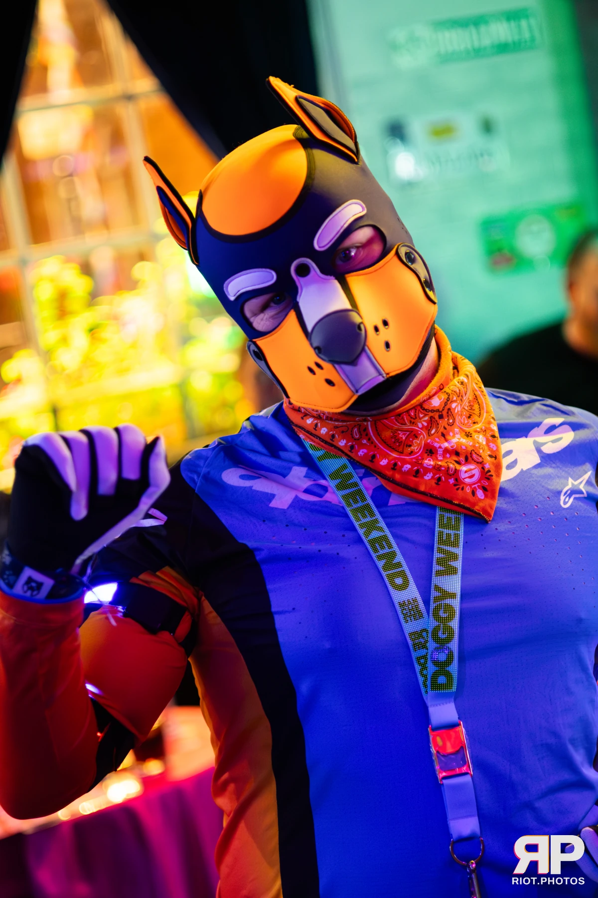 Doggy Weekend 2025 — 15 Oct 2025, Fluffy Riot photography — photo 62