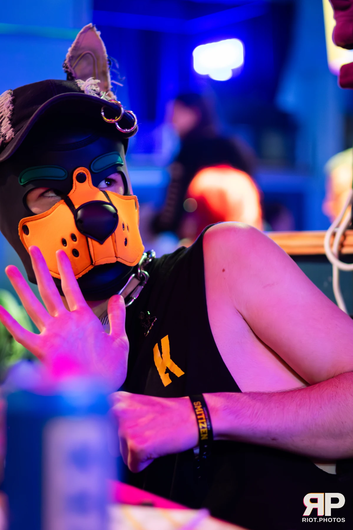 Doggy Weekend 2025 — 15 Oct 2025, Fluffy Riot photography — photo 63