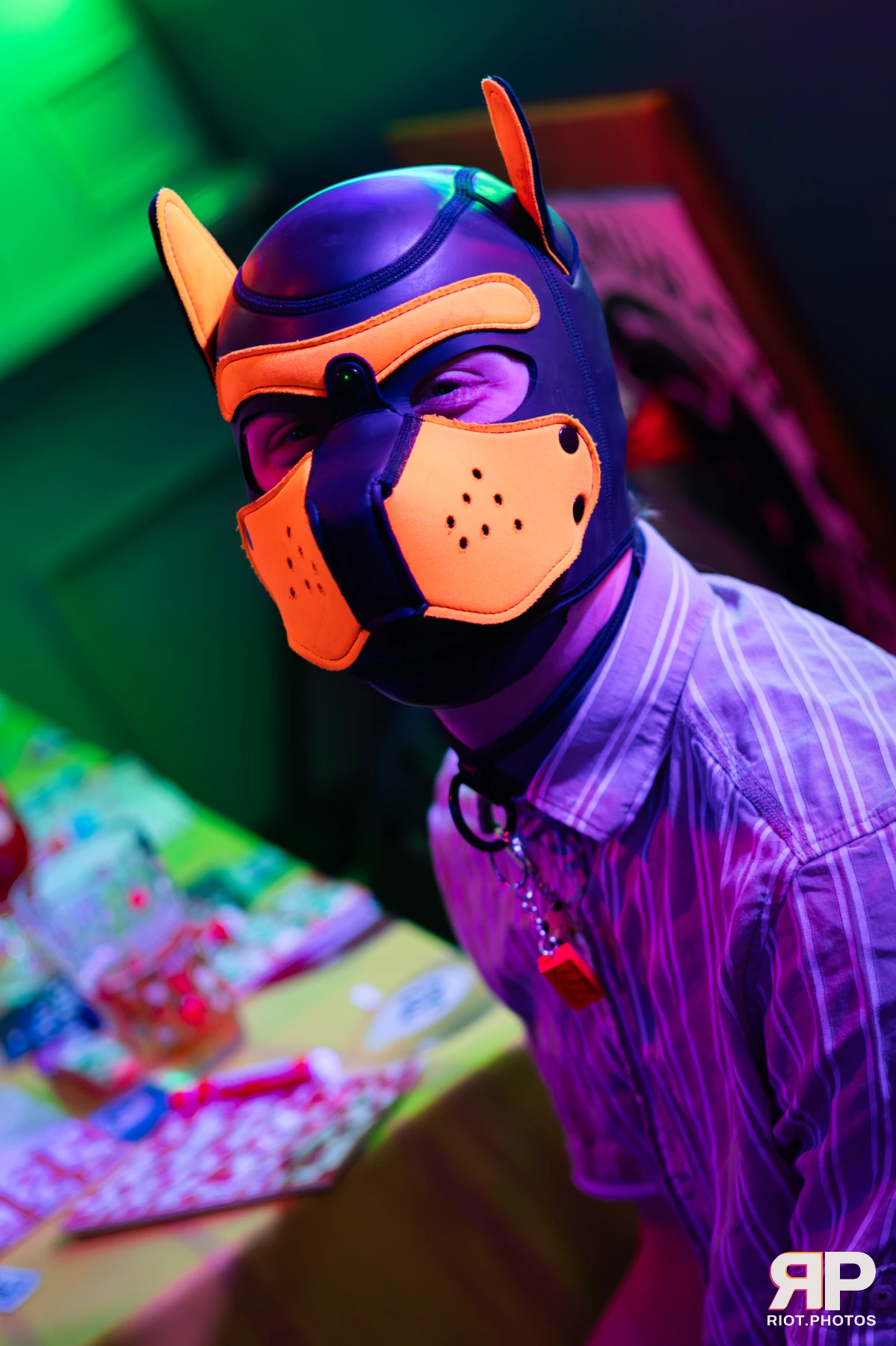 Doggy Weekend 2025 — 15 Oct 2025, Fluffy Riot photography — photo 73