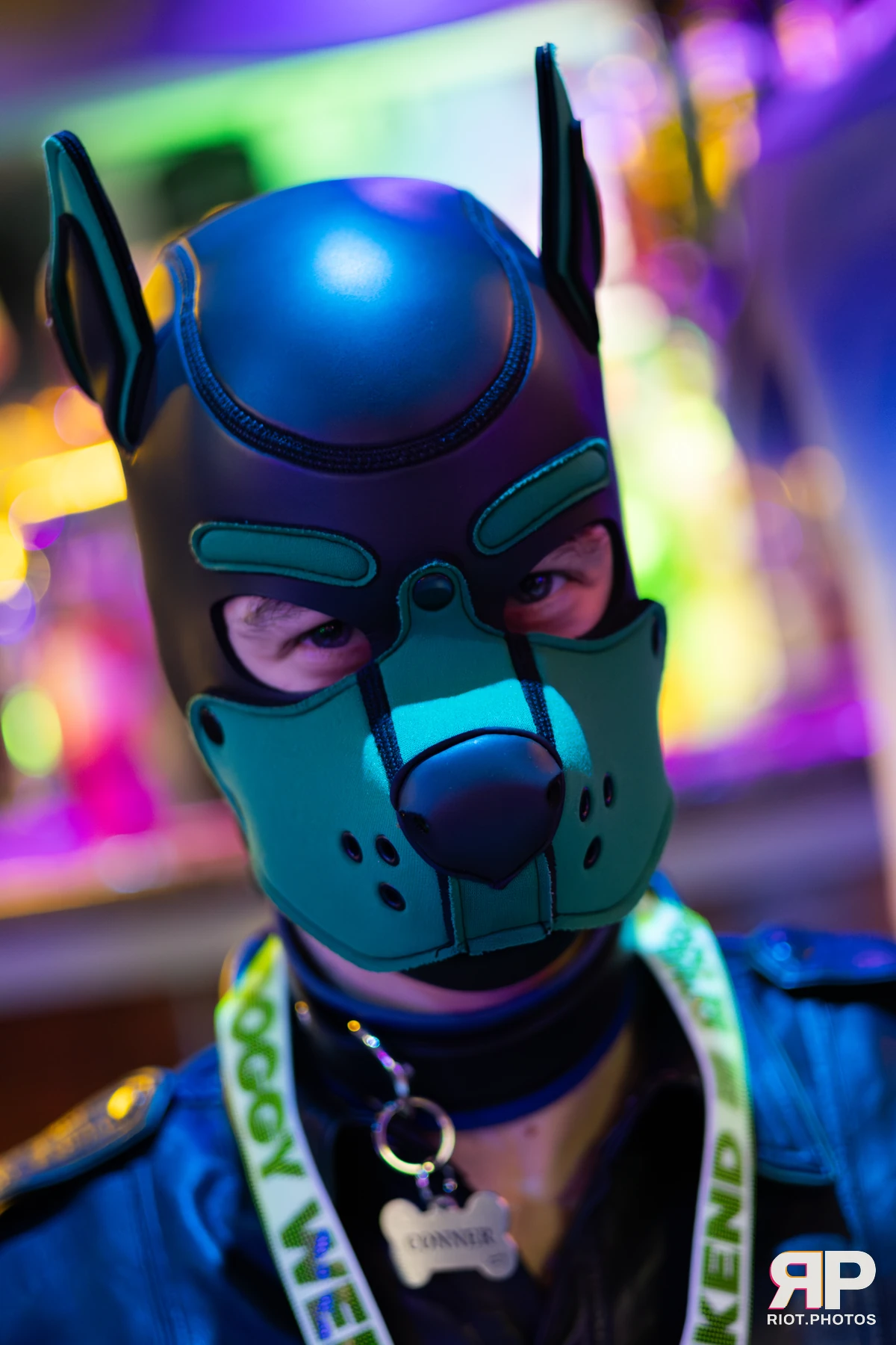 Doggy Weekend 2025 — 15 Oct 2025, Fluffy Riot photography — photo 76