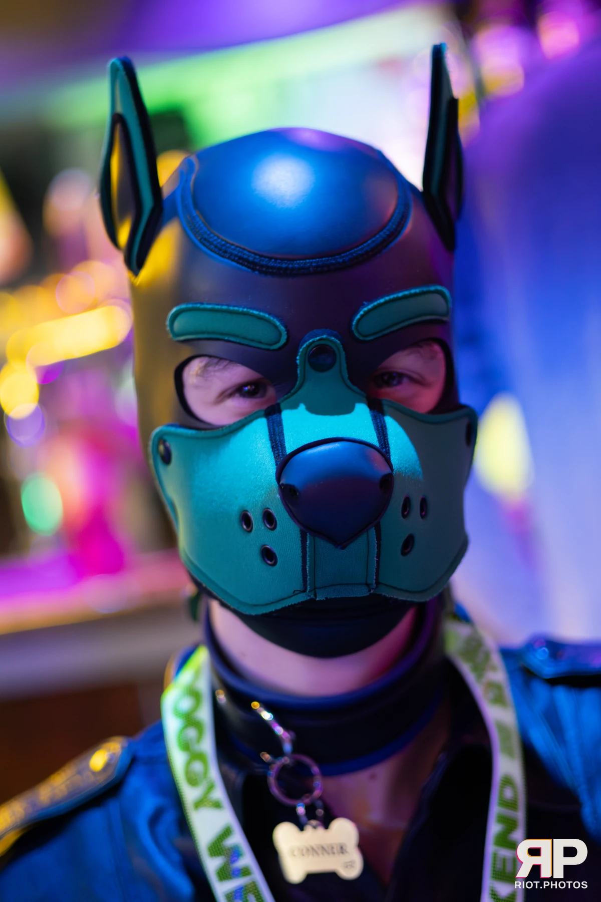 Doggy Weekend 2025 — 15 Oct 2025, Fluffy Riot photography — photo 77