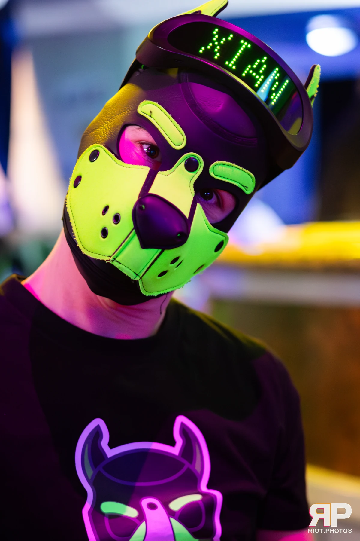 Doggy Weekend 2025 — 15 Oct 2025, Fluffy Riot photography — photo 78