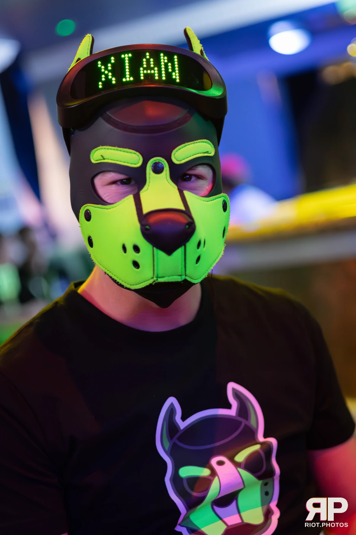 Doggy Weekend 2025 — 15 Oct 2025, Fluffy Riot photography — photo 79