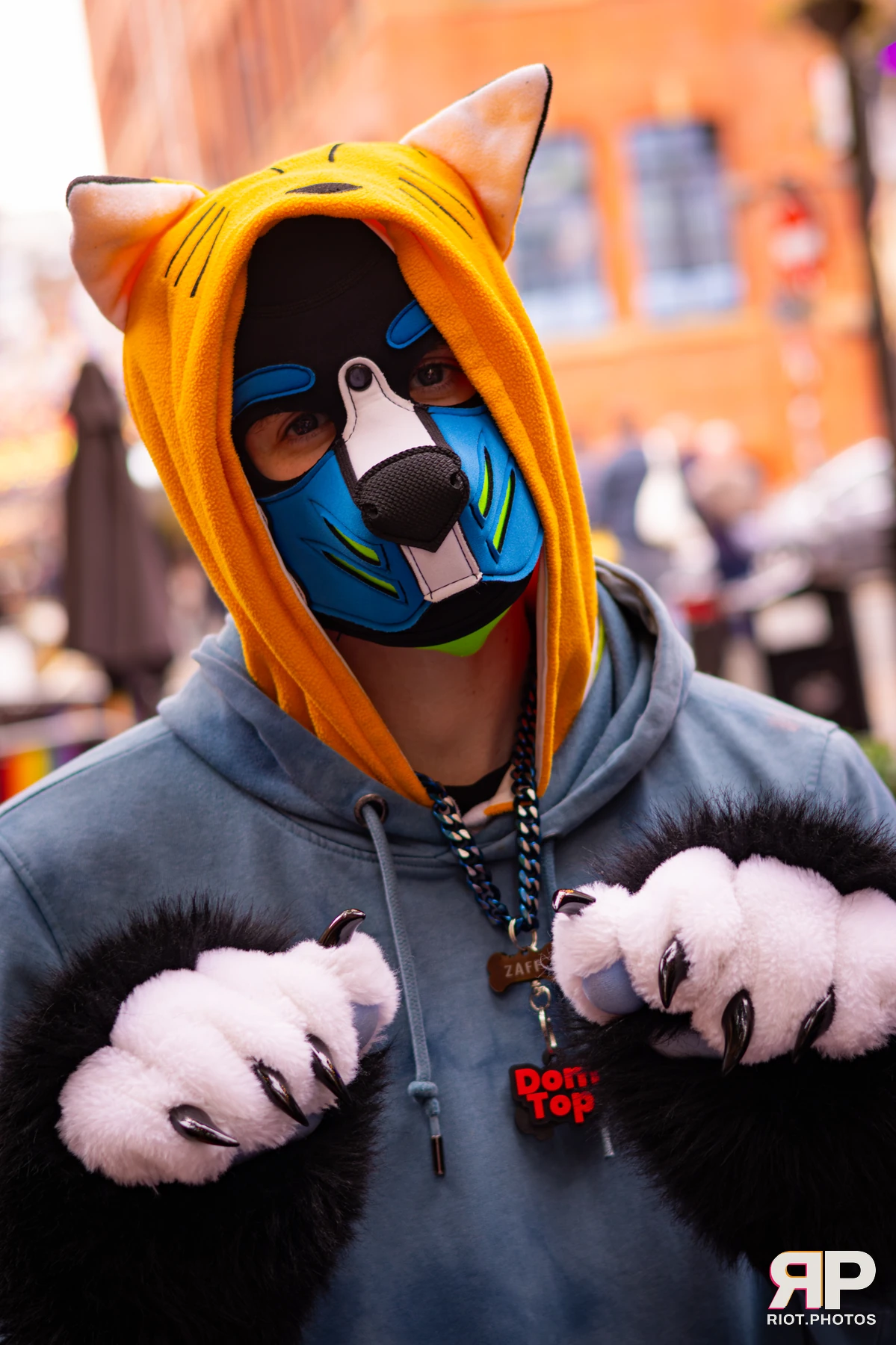 Zaff — furry & pup photography by Fluffy Riot — photo 65
